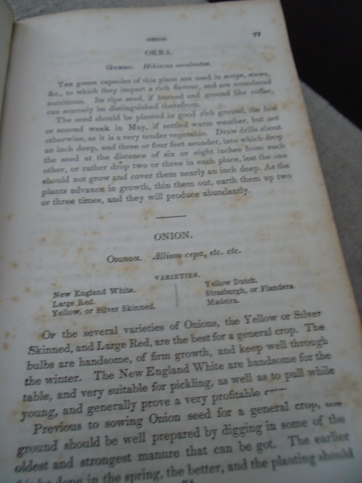 Rare 1857 Seed Catalogue Kitchen Gardner’s Instructor Thomas Bridgeman New Ed