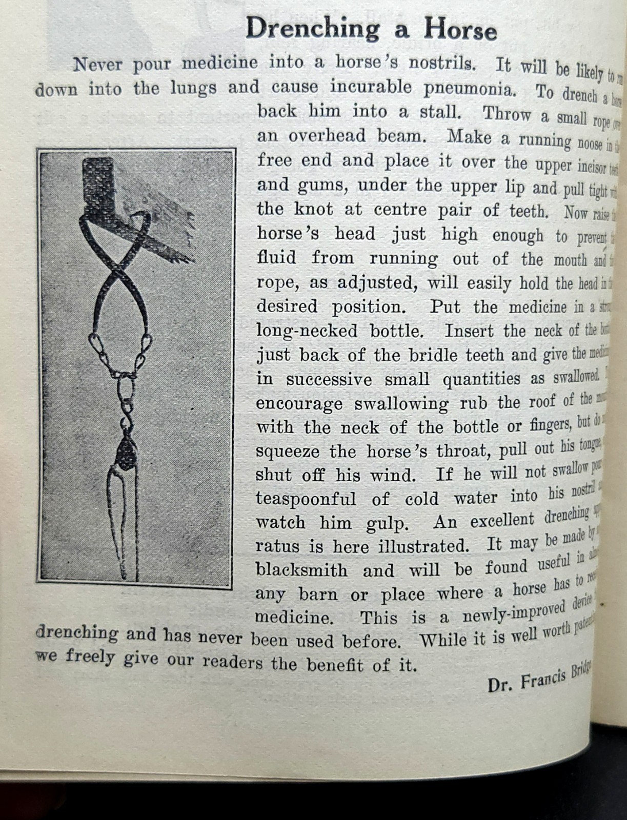 Pratt’s Agricultural Farm Animal Feed Book on Raising Horses Cows & Hogs c.1911