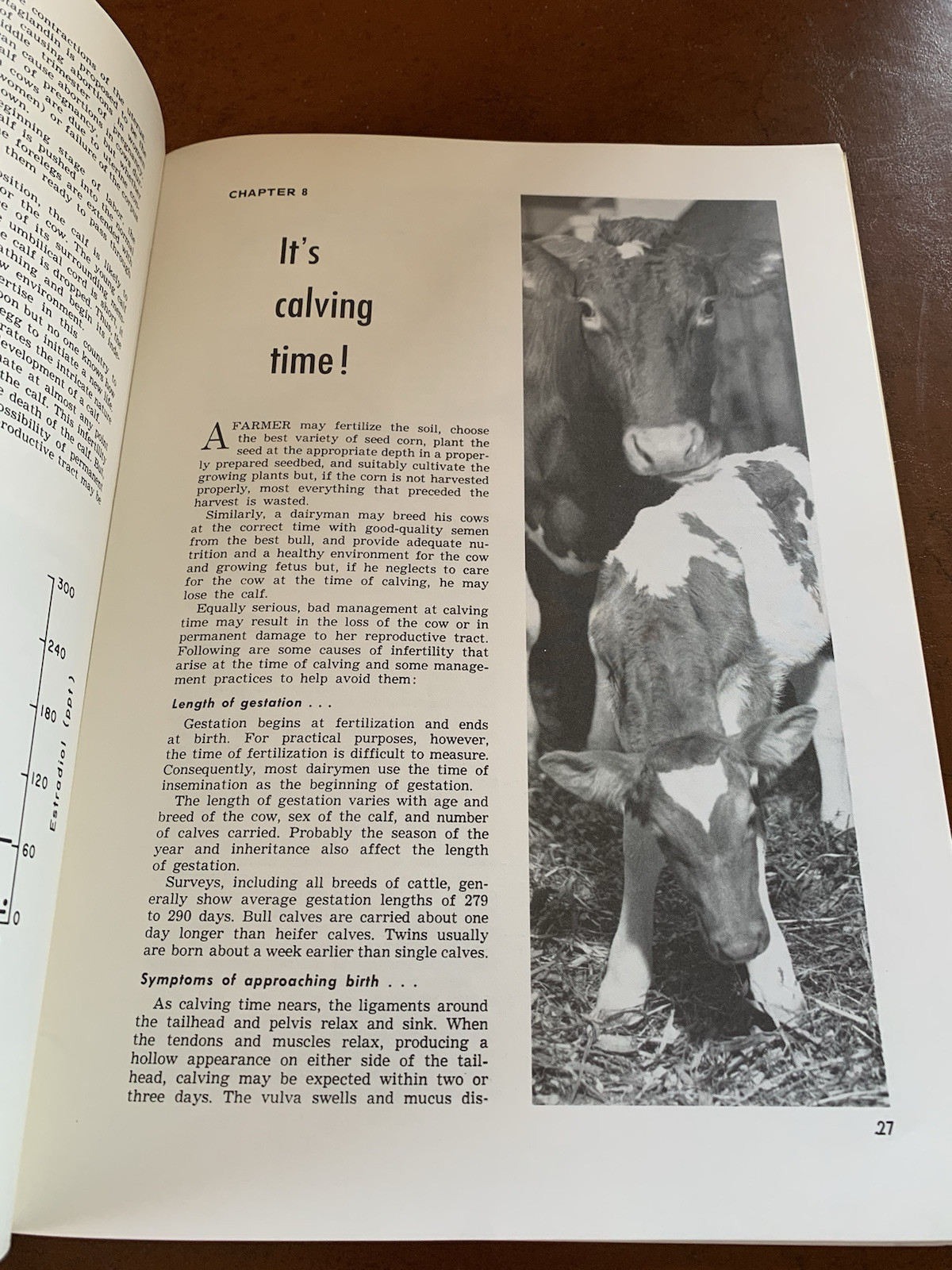 Hoard’s Dairyman 1973 Dairy Cattle Fertility & Sterility Farming Milk Ranching
