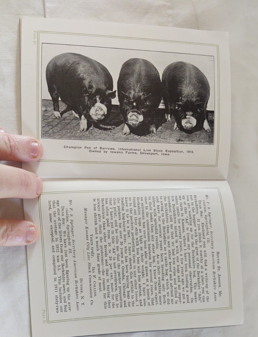 3 Vtg Antique Booklets Farm farming Hogs Pigs , Berkshire / Dundee ,NY Morris