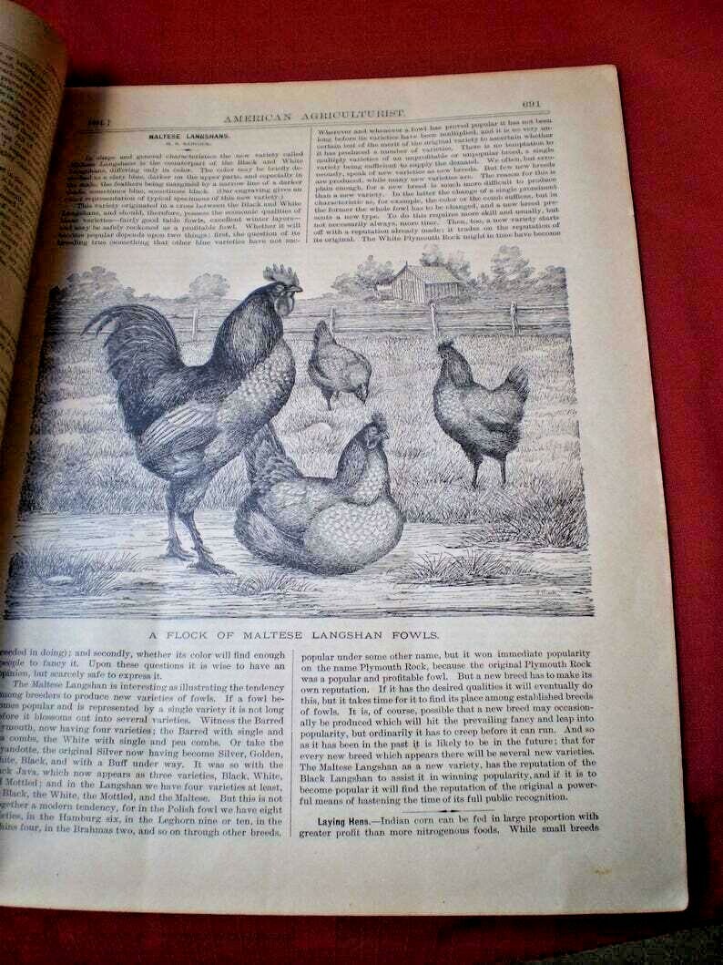 Antique American Agriculturist License Plate and Rare Magazine-1800’s
