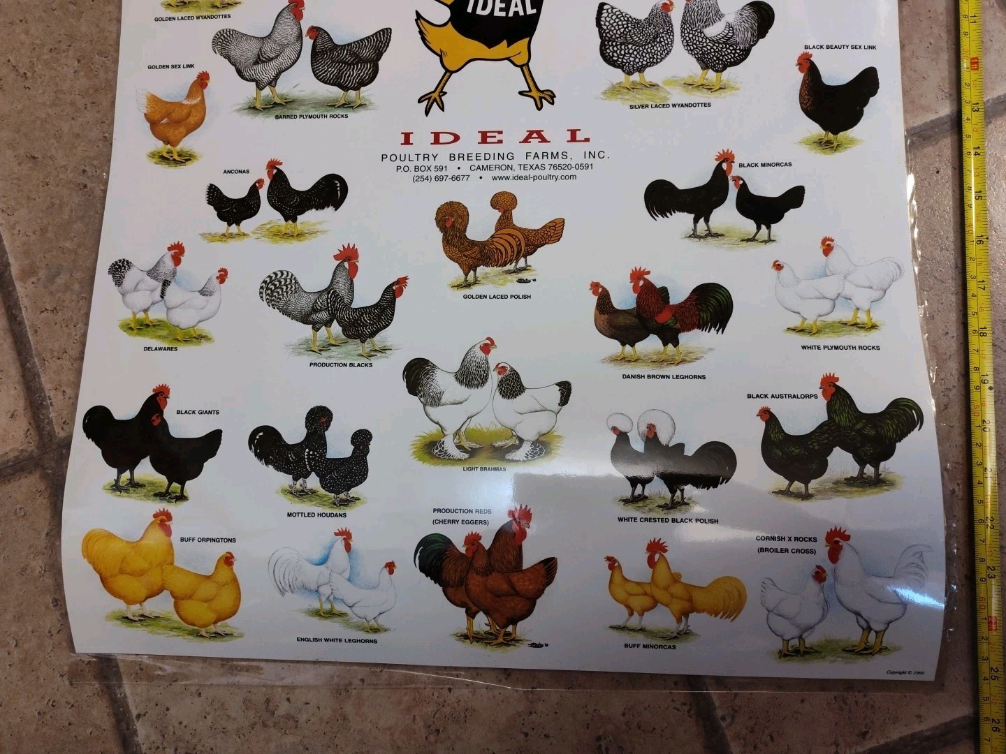 Vintage Ideal Poultry Breeding Farms Selection Chart Poster Sign Bantams 1990