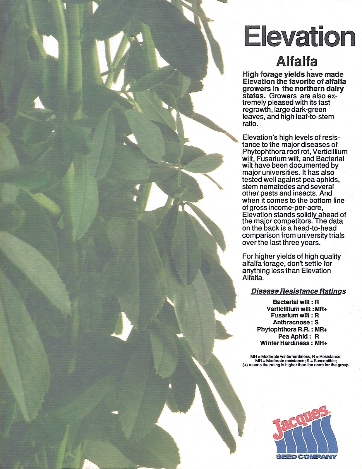 Farm Seed Data Sheet – Jacques – Elevation – Alfalfa – c1980’s Brochure (F8252)
