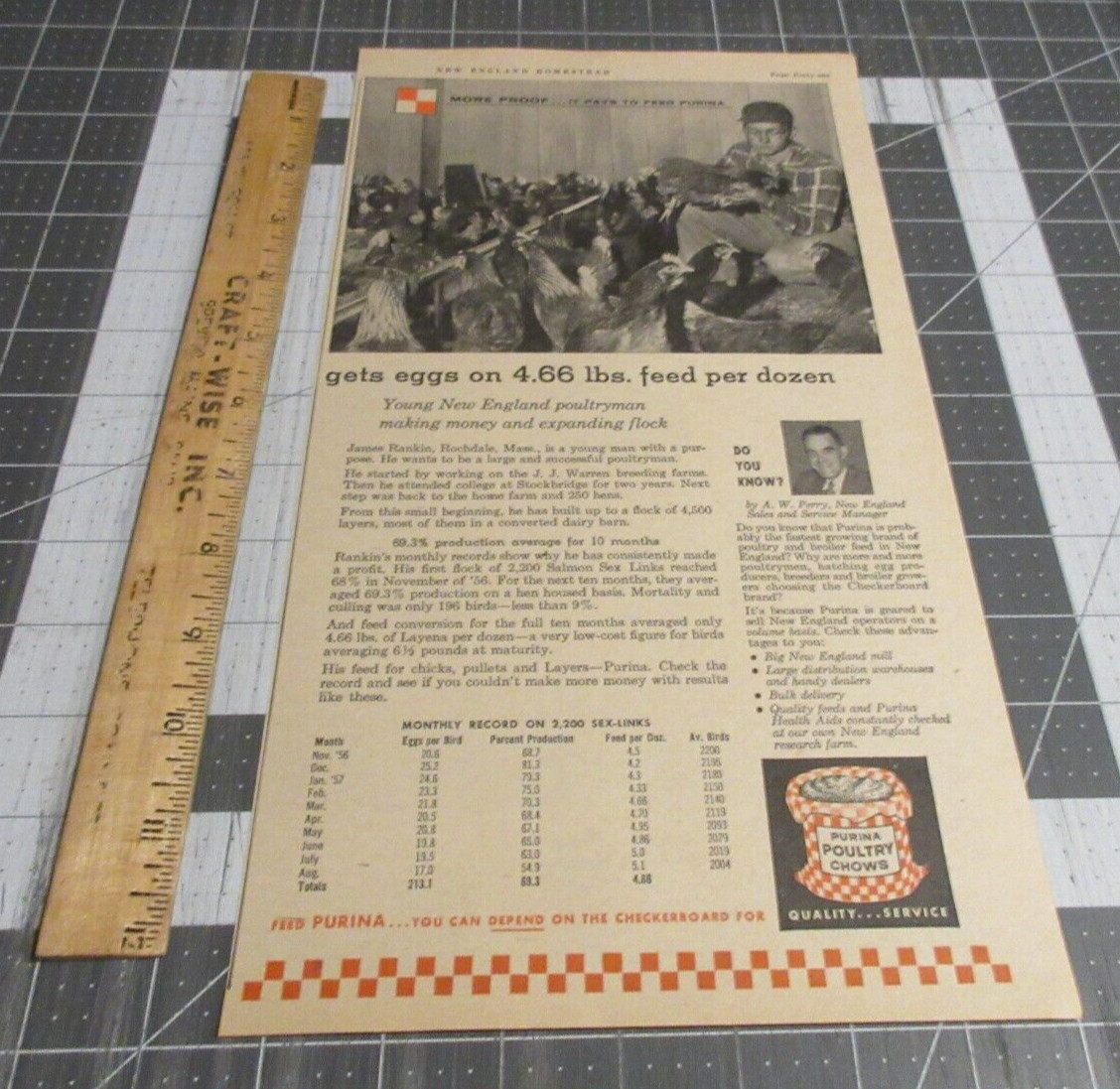 1958 Purina Poultry Chows, Proof it pays to feed Purina, Print Ad
