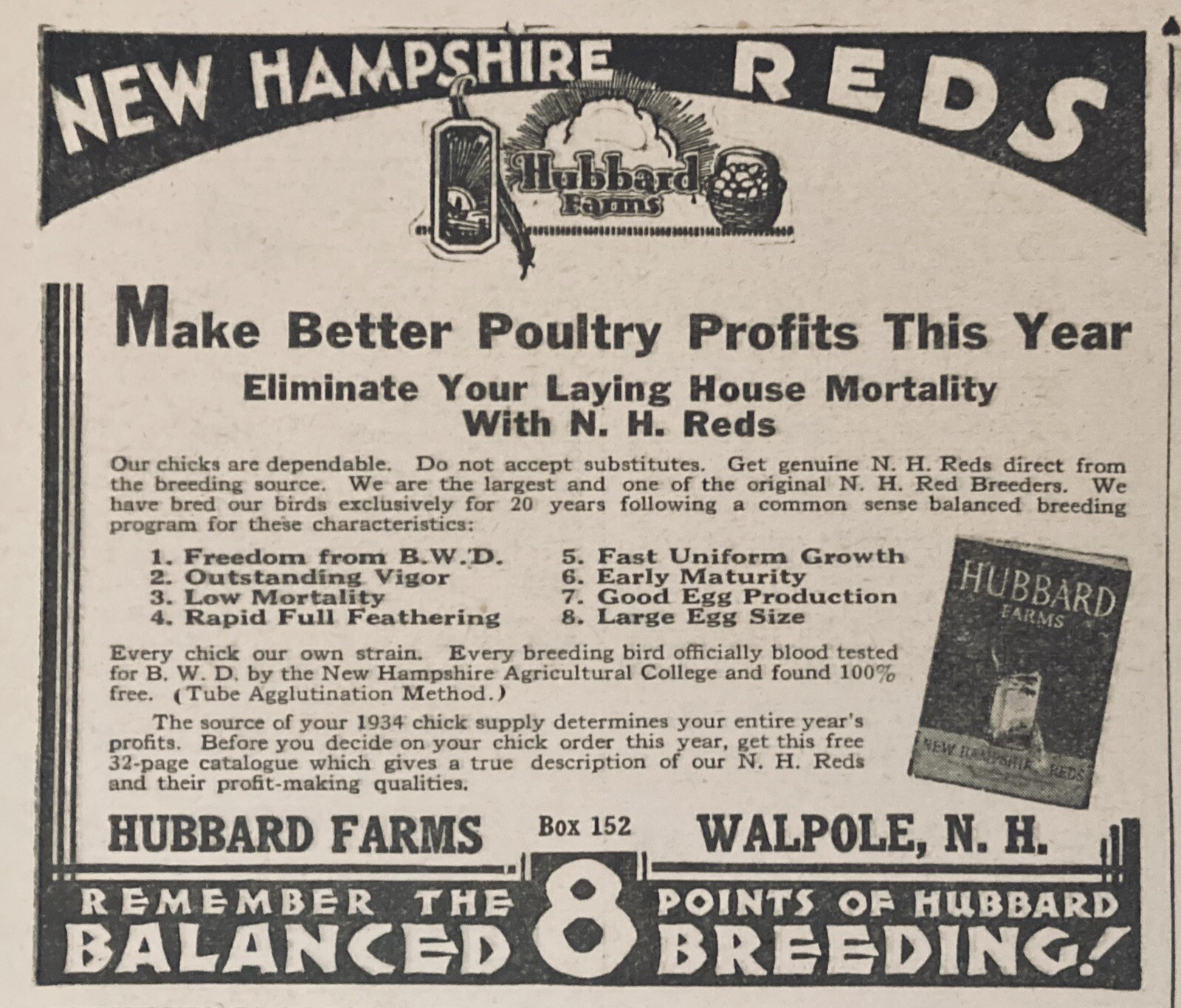 1934 AD.(XH50)~HUBBARD FARMS, WALPOLE, NH. NEW HAMPSHIRE REDS