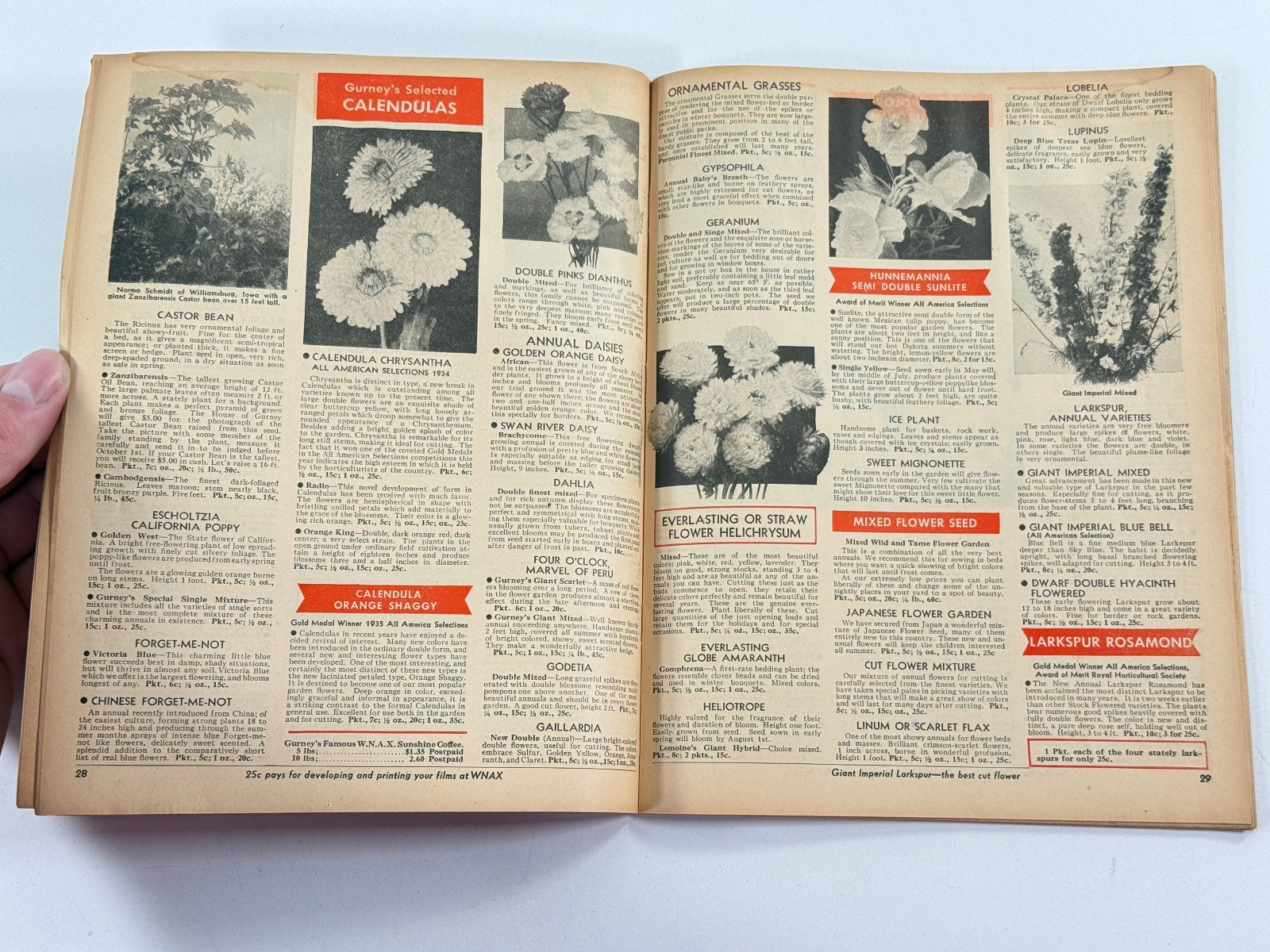 1937 House of Gurney Advertising Catalog Yankton South Dakota SD