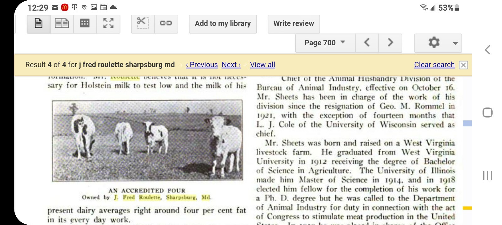 1920’s HISTORIC HOLSTEIN FRESIAN ADVERTISING FARM BANNER SIGN KING SYLVIA BULL