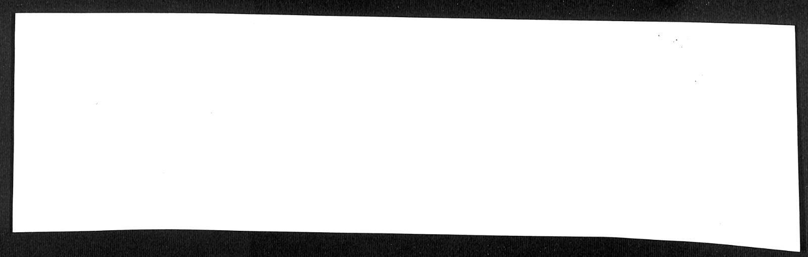 “Shish to Milk” w/ Cow Tail Funny Farming Bumper Sticker VGC