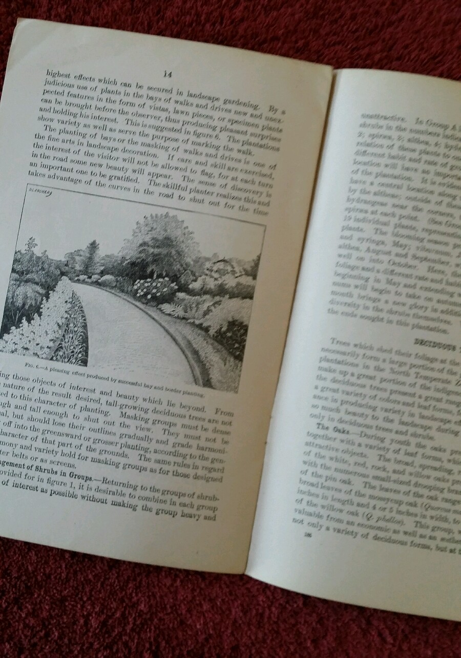 U.S. Department of Ag Vintage 1904 Farmers’ Bulletin #185 Beautify Home Grounds