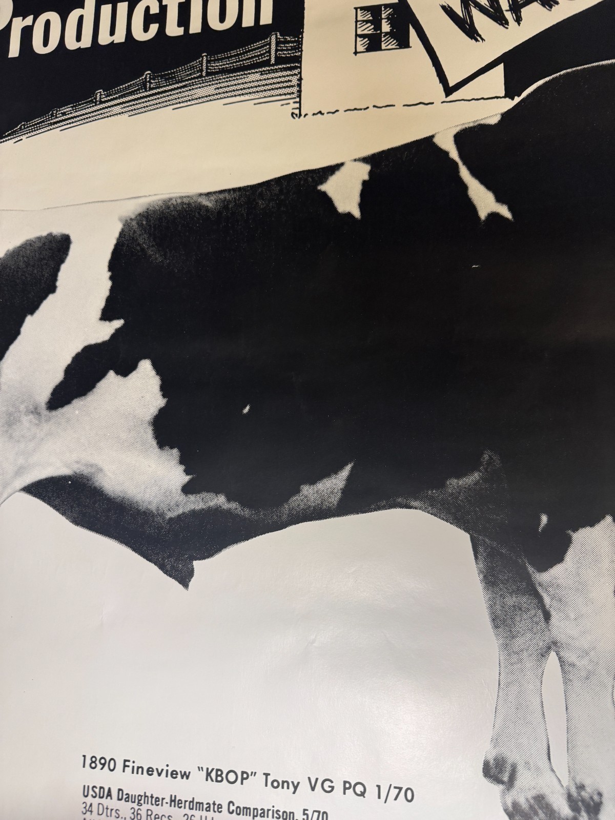 VTG 1970 King Bull on Production “KBOP” ABS American Breeders Service Ad Poster