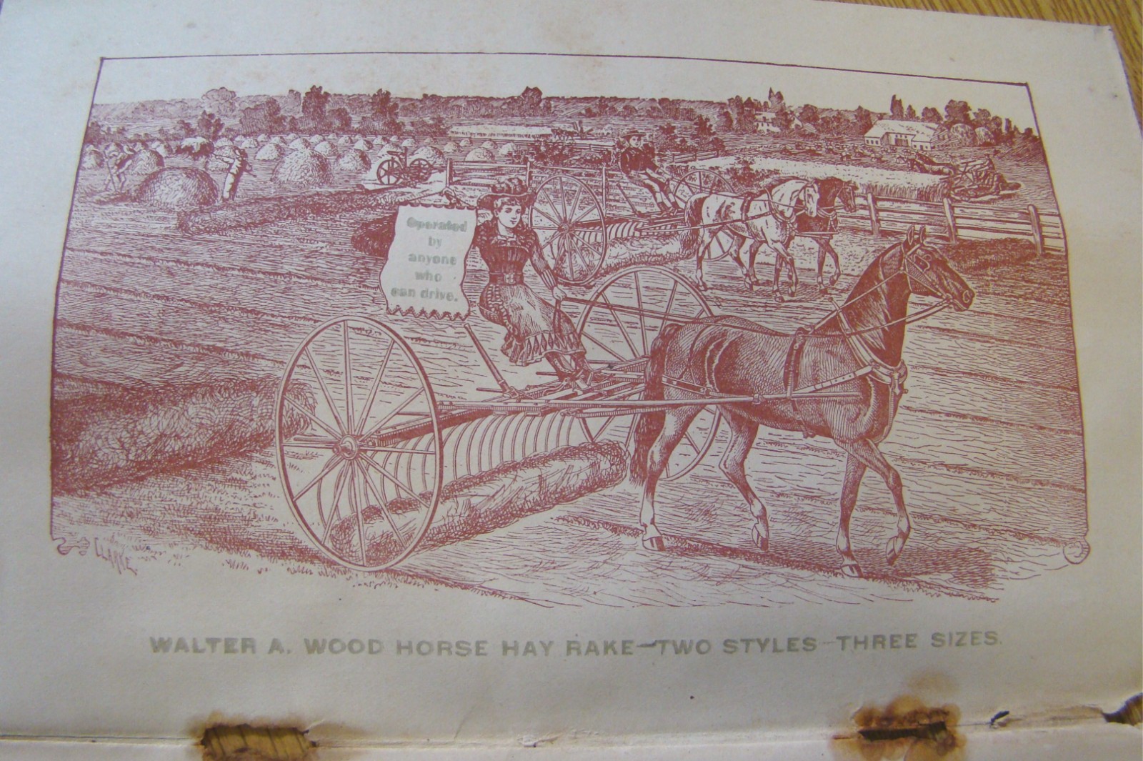 1800’s Wood Horse Drawn Hay Rake Catalog Antique Farm Implement old farming