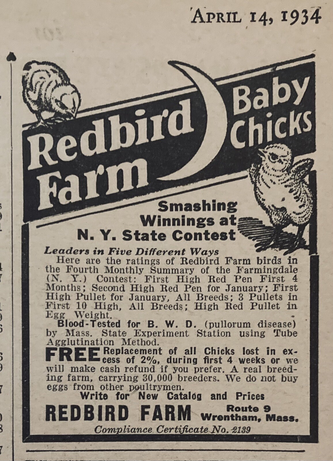 1934 AD.(XH51)~REDBIRD FARM, WRENTHAM, MASS. REDBIRD FARM BABY CHICKS