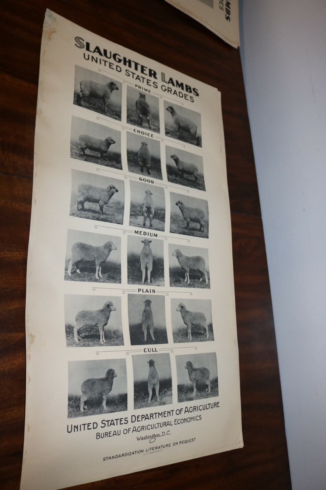 RARE new old stock orig. 1936 Large USDA Lamb slaughter grade poster chart sign