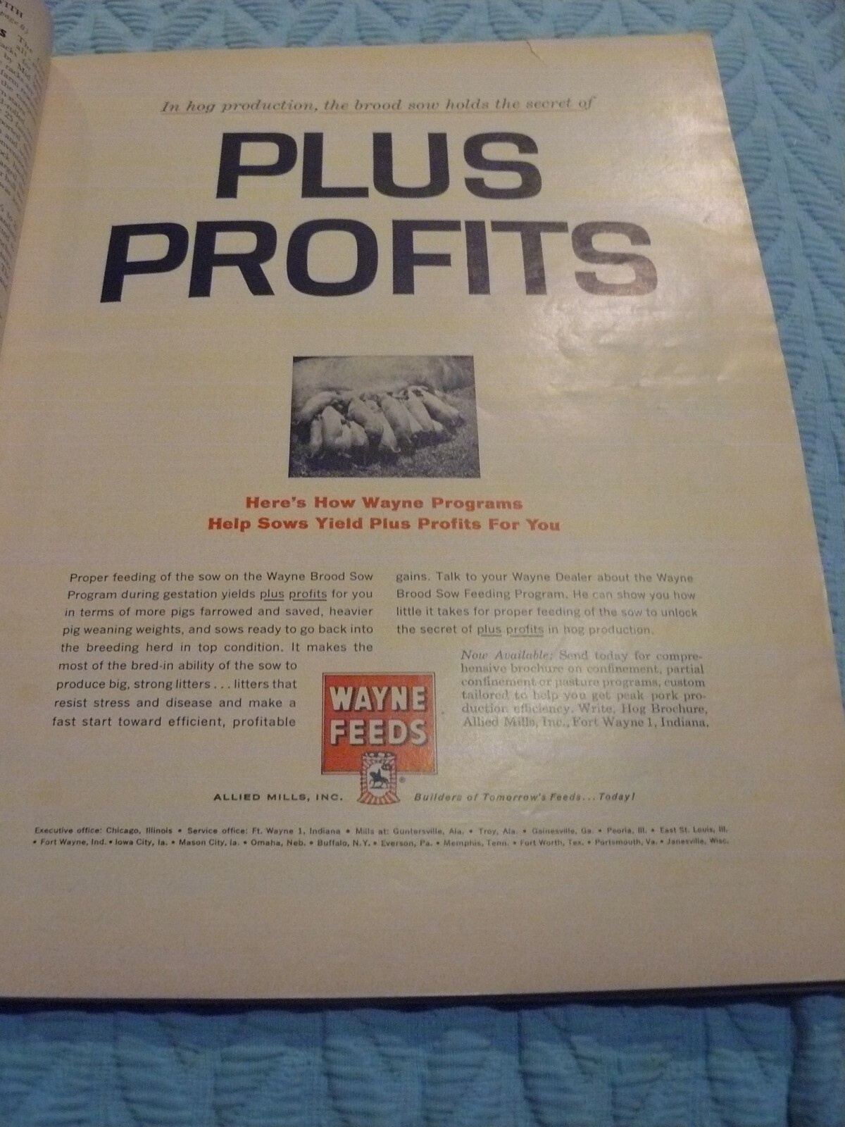 THE FARM QUARTERLY- SUMMER 1965 -AD- ALLIED MILLS – WAYNE FEED PLUS PROFITS