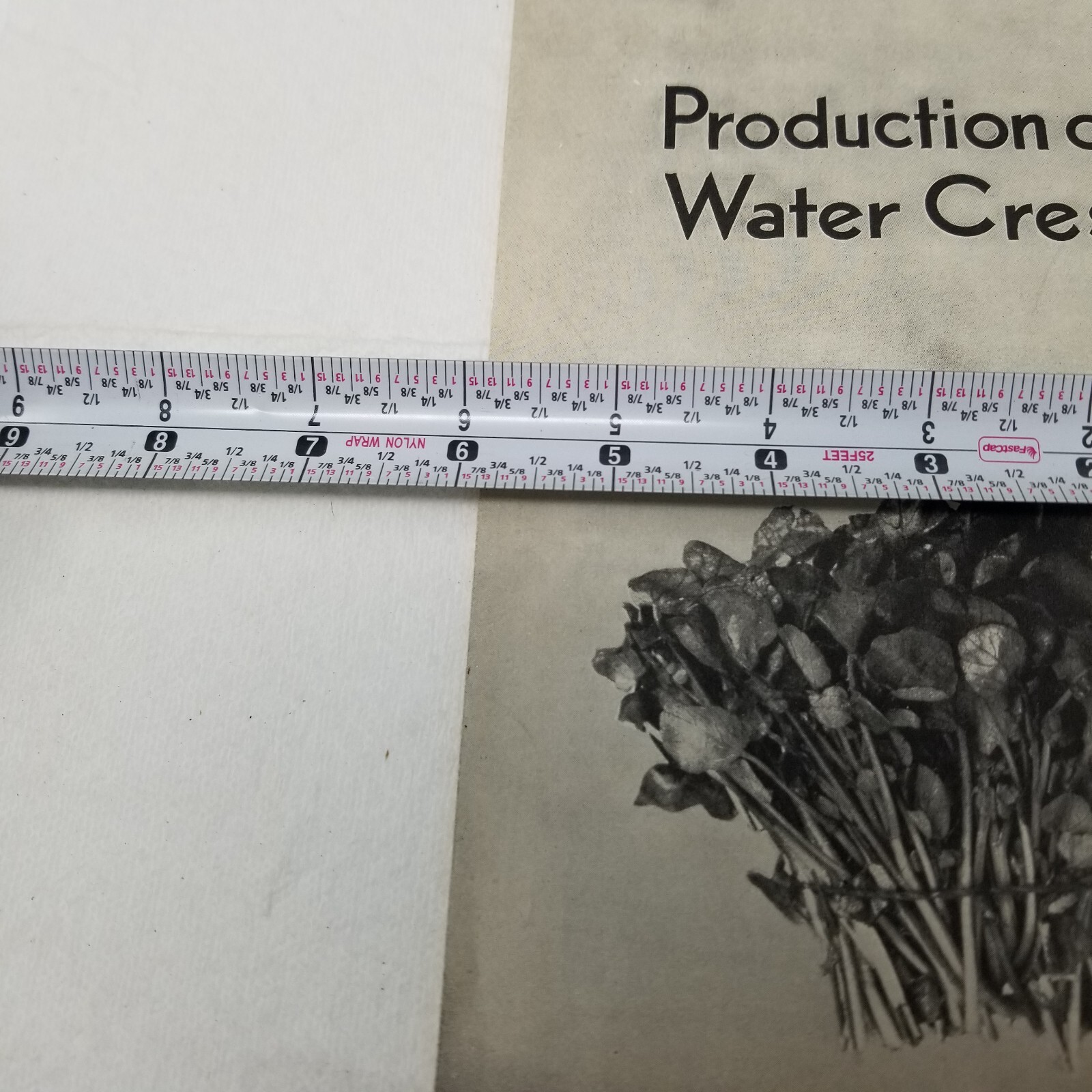 Production of Water Cress 1938 Farmers’ Bulletin Booklet 134 USDA Care Marketing
