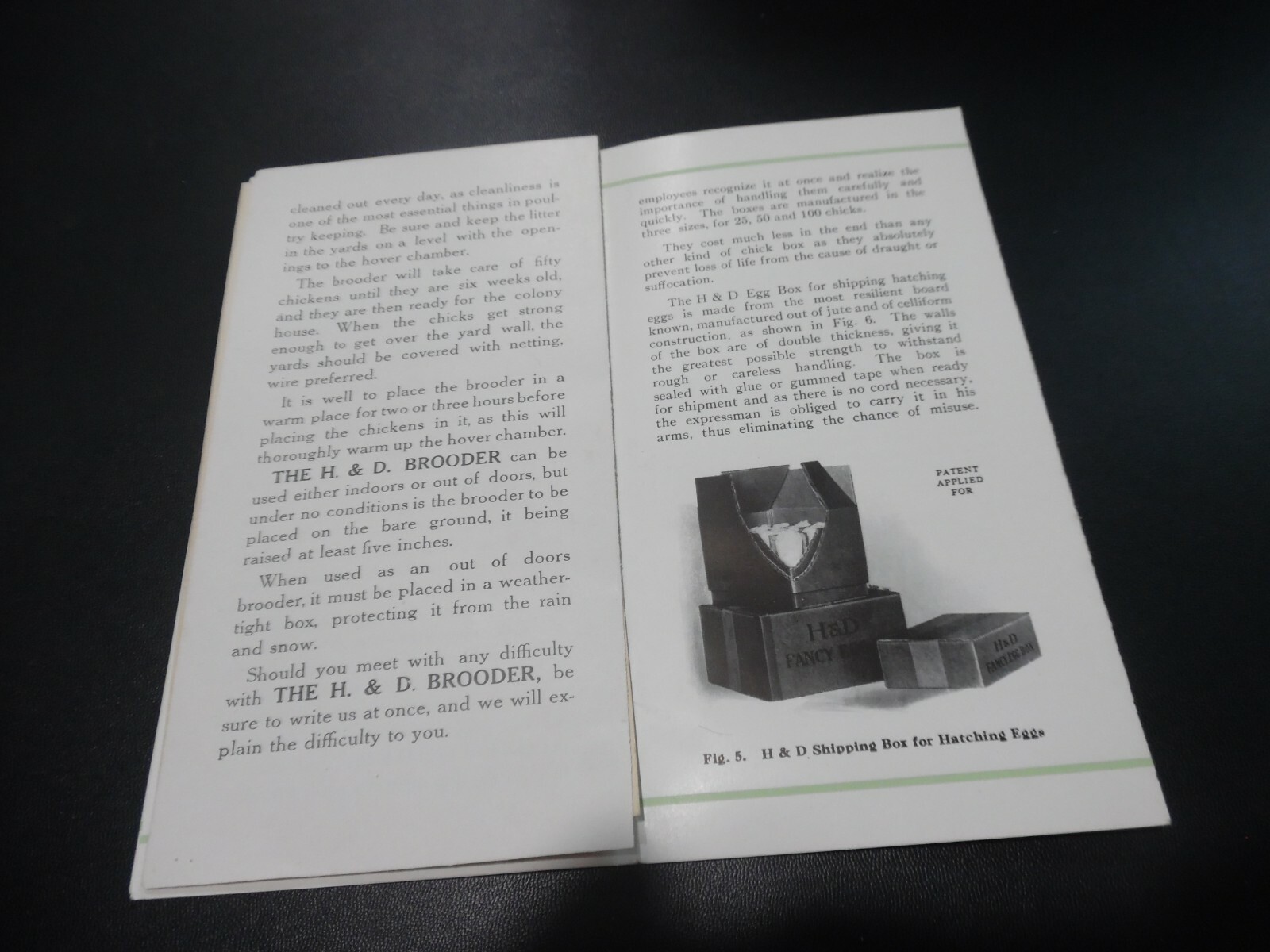 EARLY 1900’s BROODER CHICKEN HATCHING EGGS AGRICULTURE ADVERTISING BROCHURE
