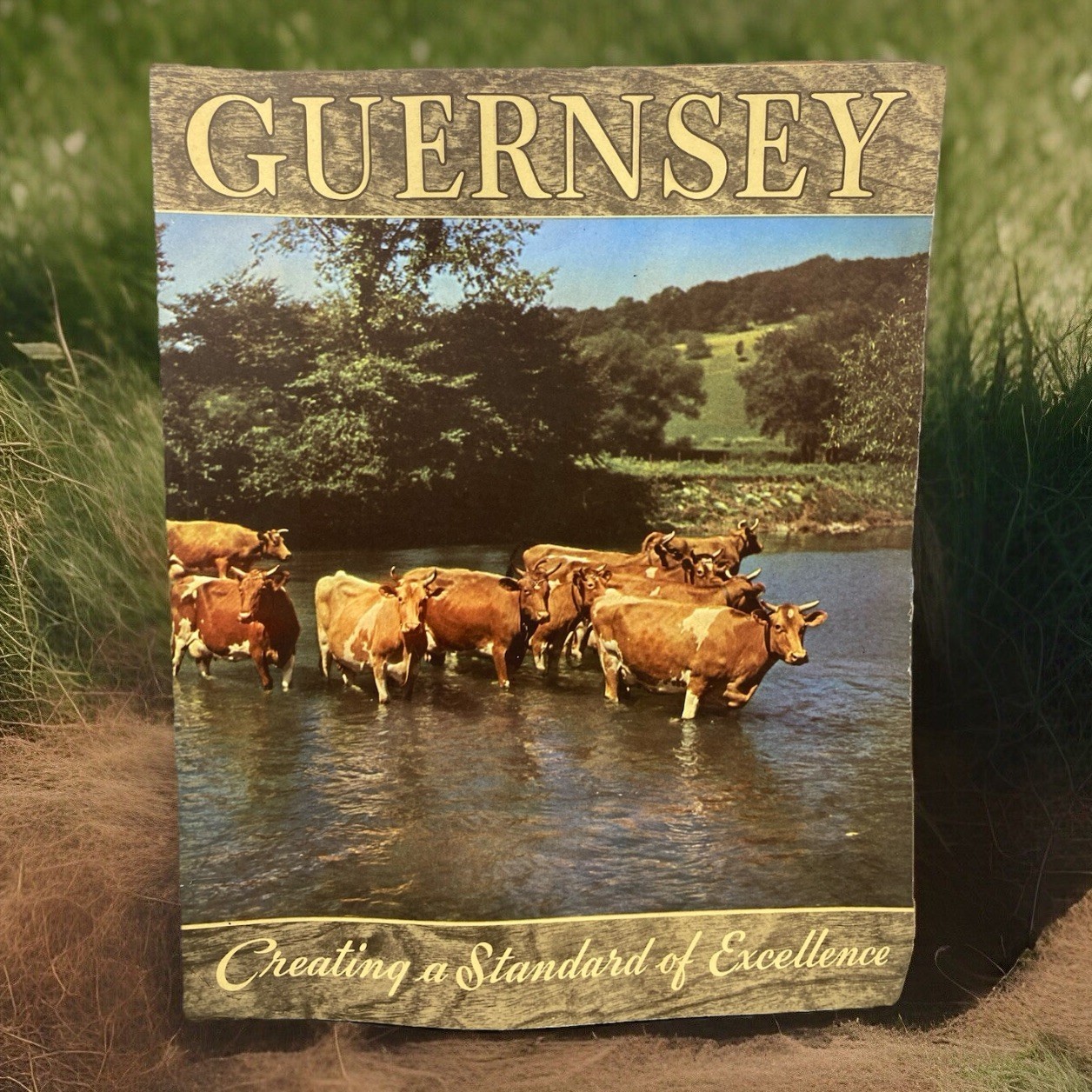 American Guernsey Cattle Club Booklet “Creating a Standard of Excellence”