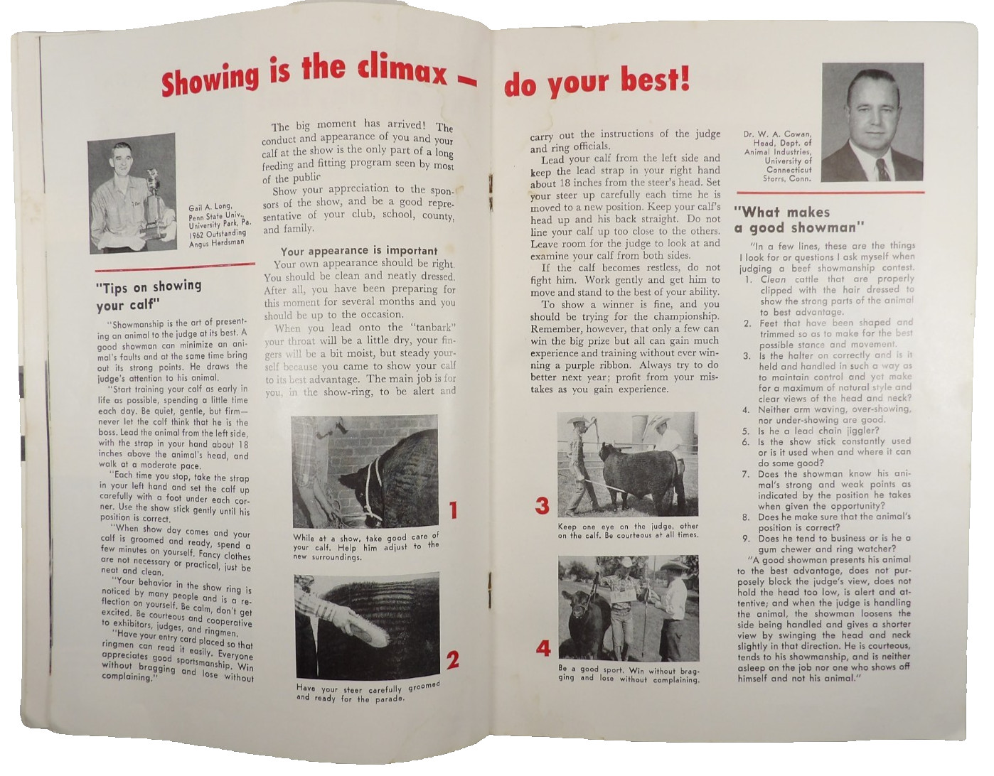 American Angus Association ~ Star of Your Future 1960’s