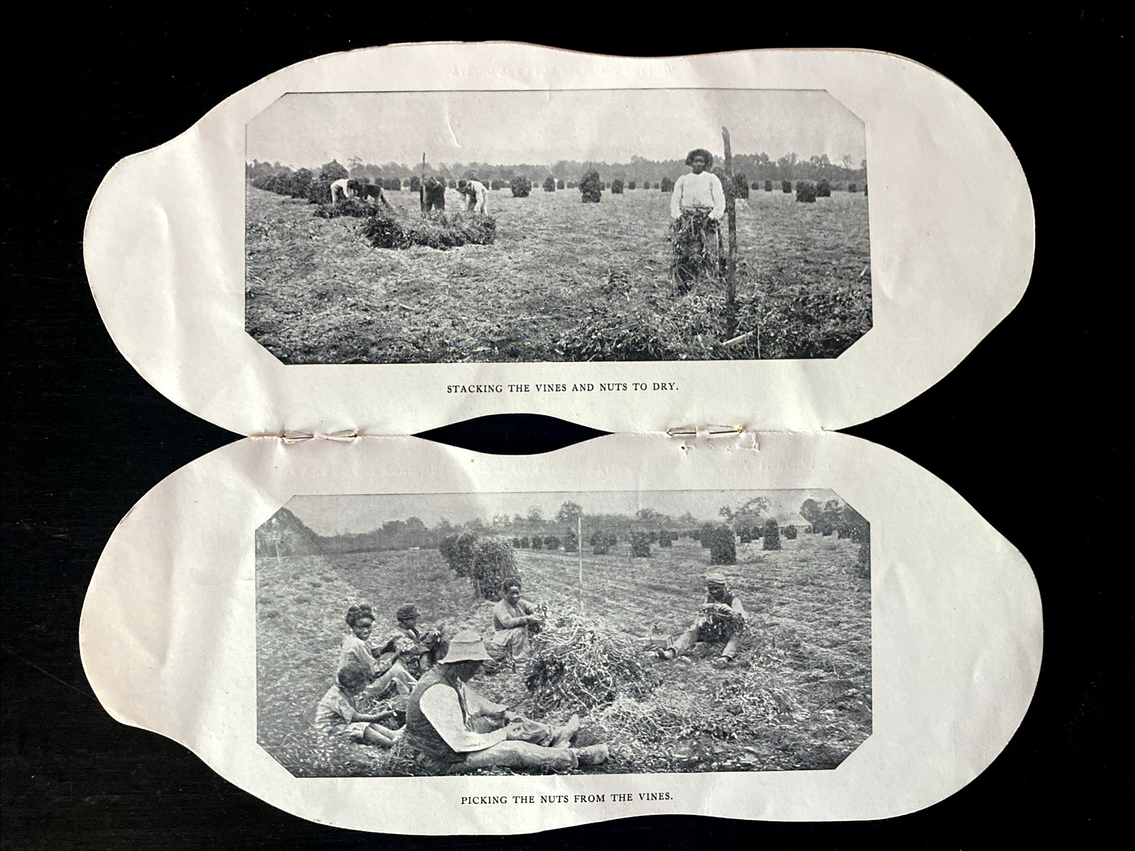 Rare 1904 The Bain Peanut Company Wakefield Virginia Advertising Brochure 8″x3″