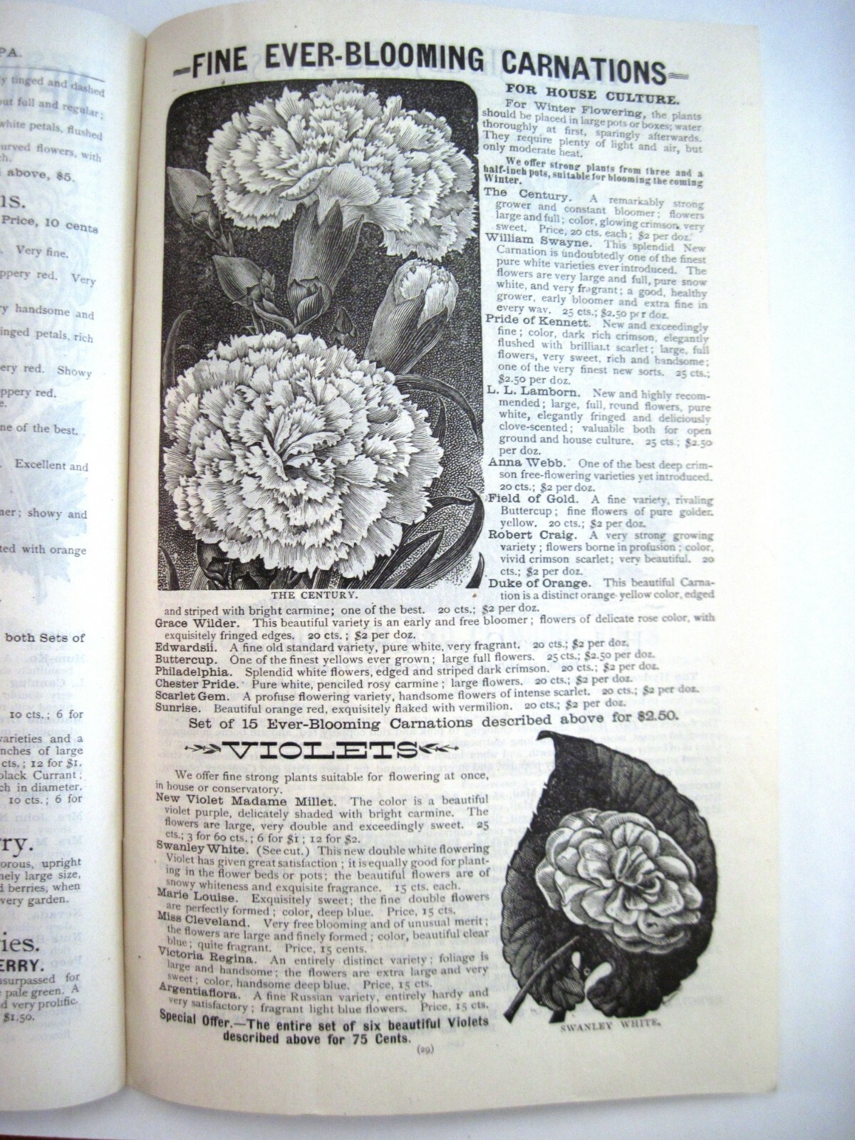 1889 Catalog “New Autumn Guide” for Holland Bulbs, Roses & Lilies & Seeds *
