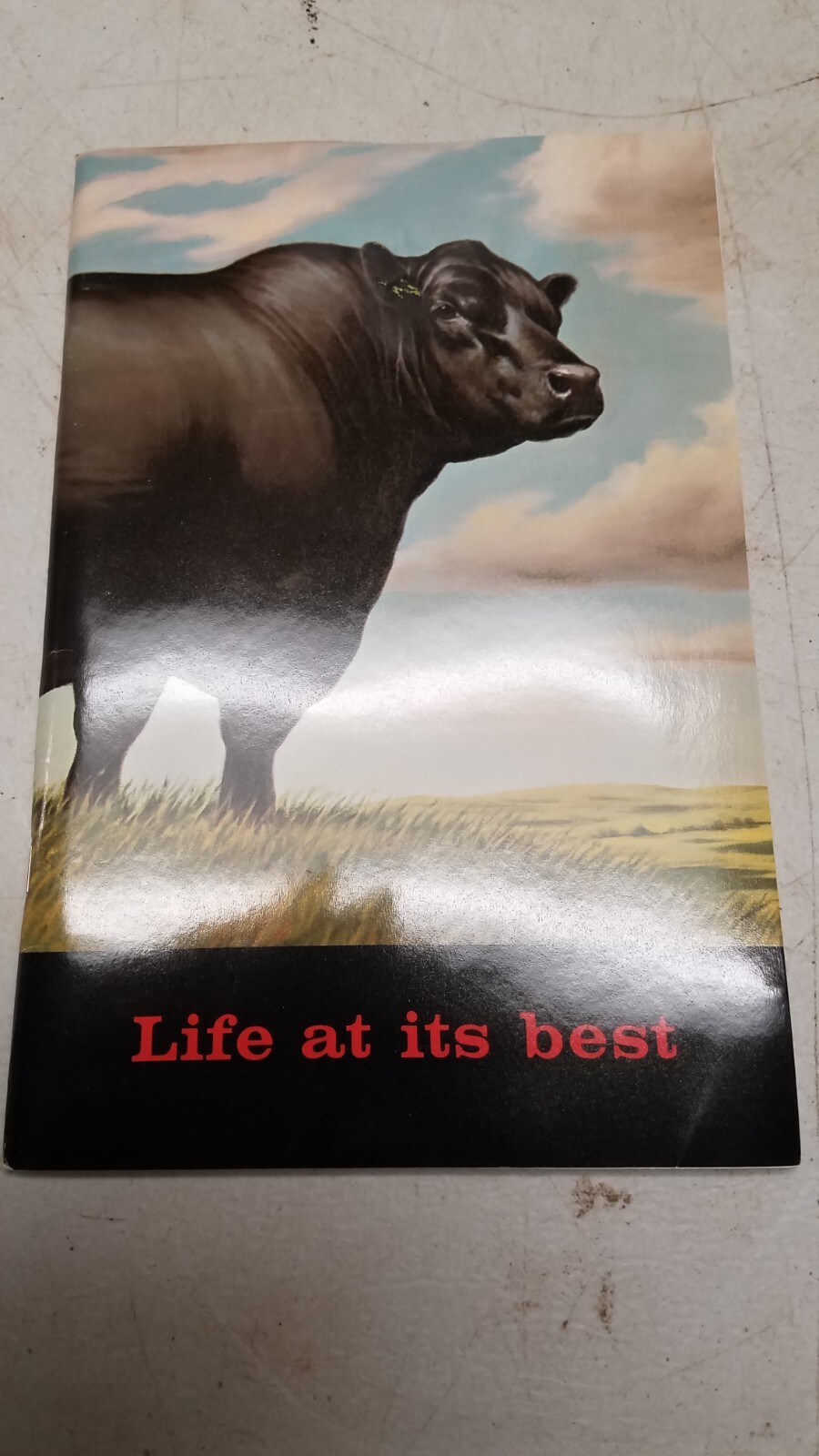 Vintage 1971 Life at It Best by The American Angus Association (V)