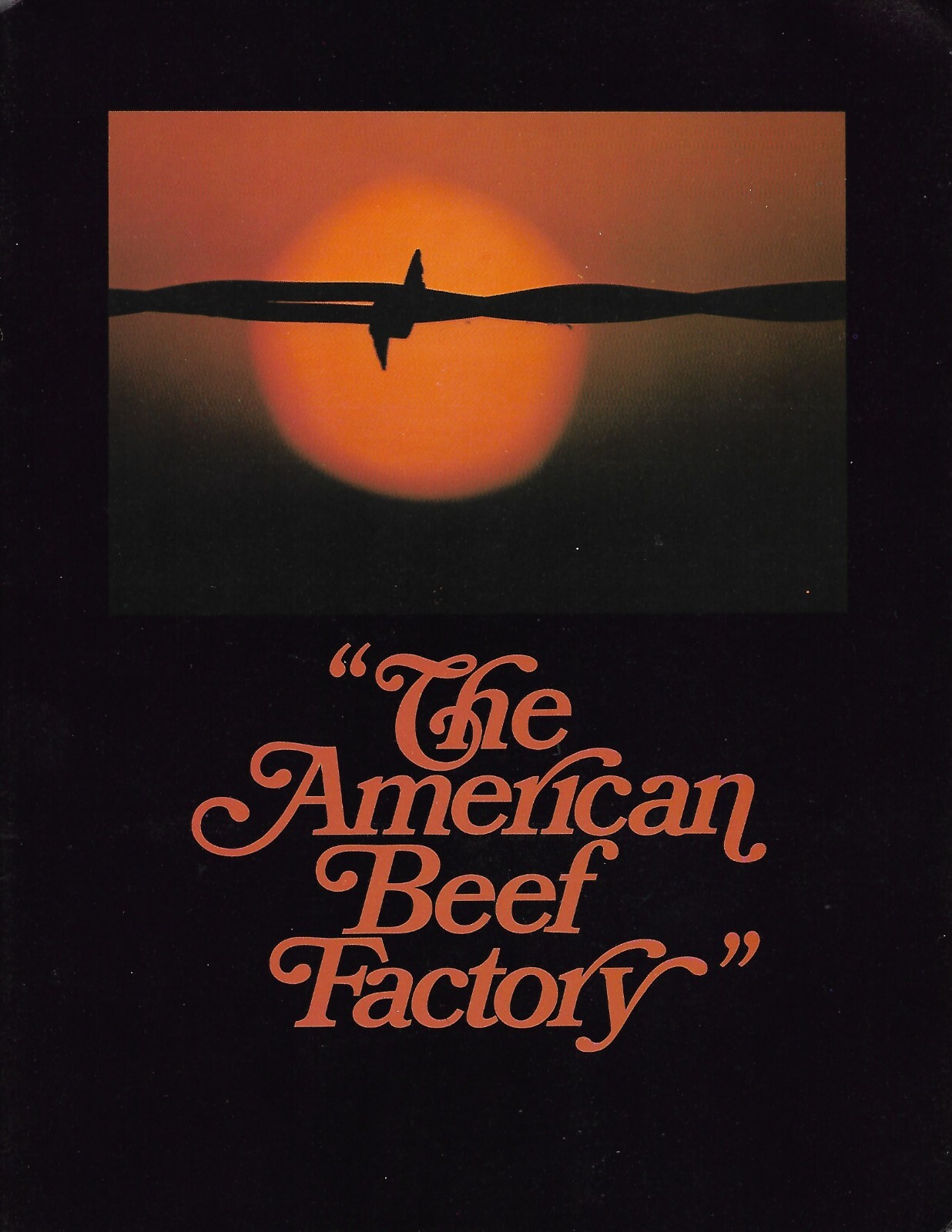 Farm Brochure – American Gelbvieh Cattle – Breed Characteristics c1970’s (F8430)