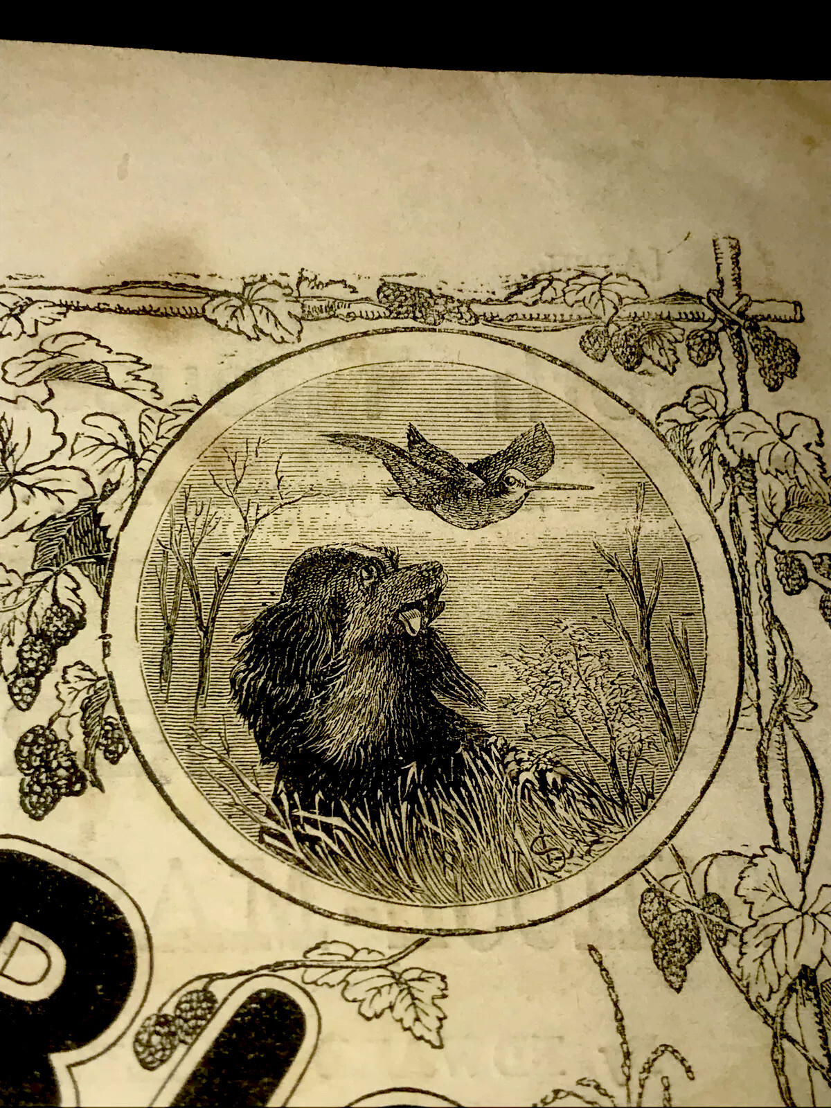 ORIGINAL 1872 Settler Farm Engraving Advertising