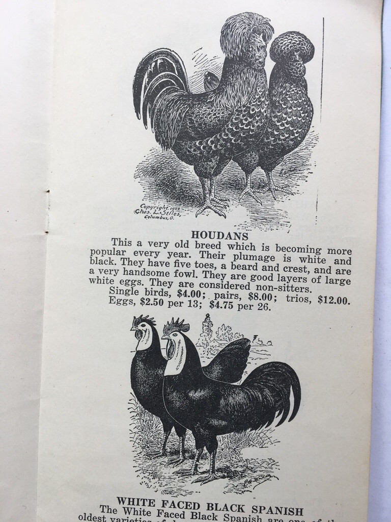 1930’s Henry Pfile Poultry Catalog Freeport IL Chickens Fowl Growers Guide