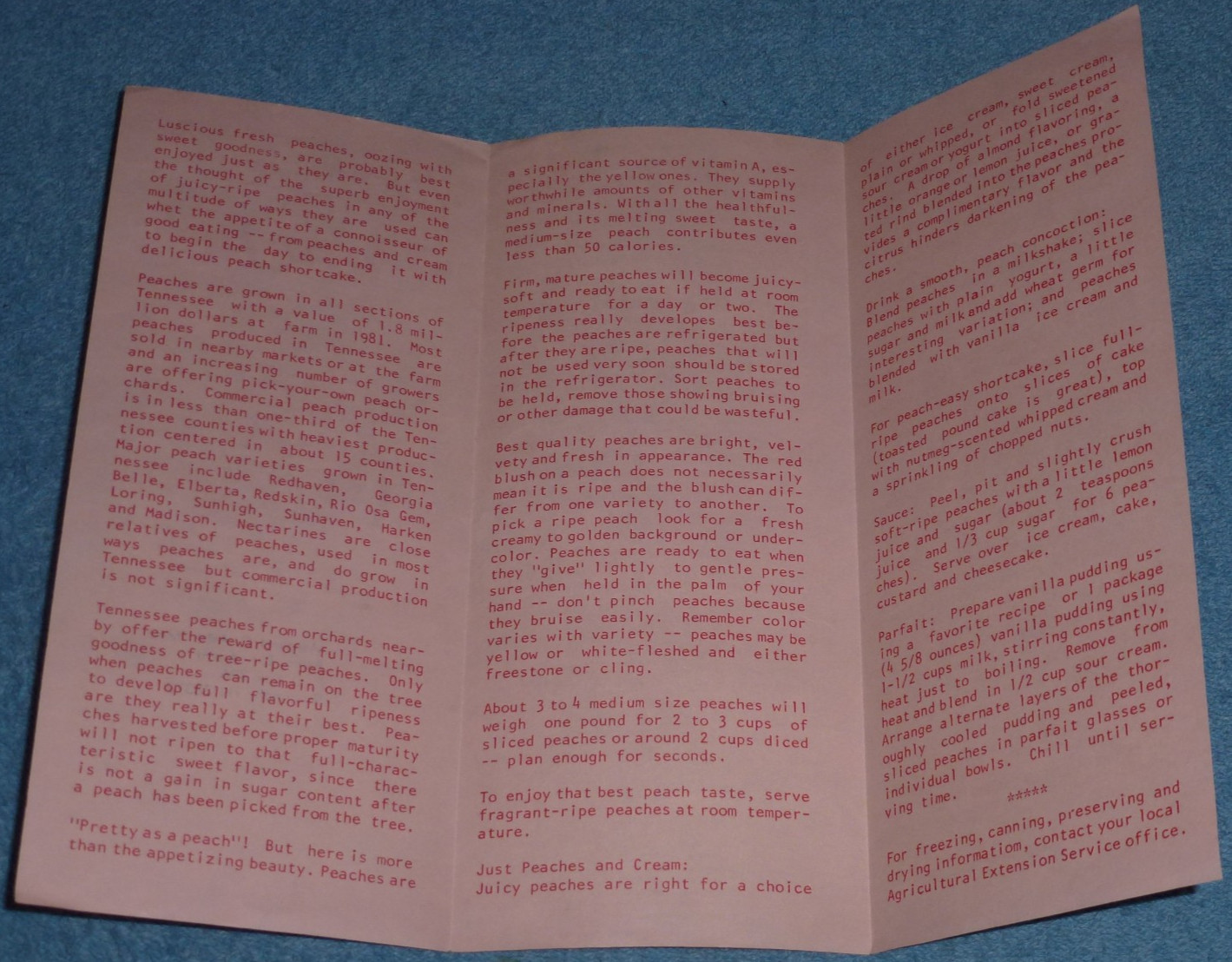 Vtg 1980s Tennessee Peaches Info Recipes Brochure Agricultural Extension Service