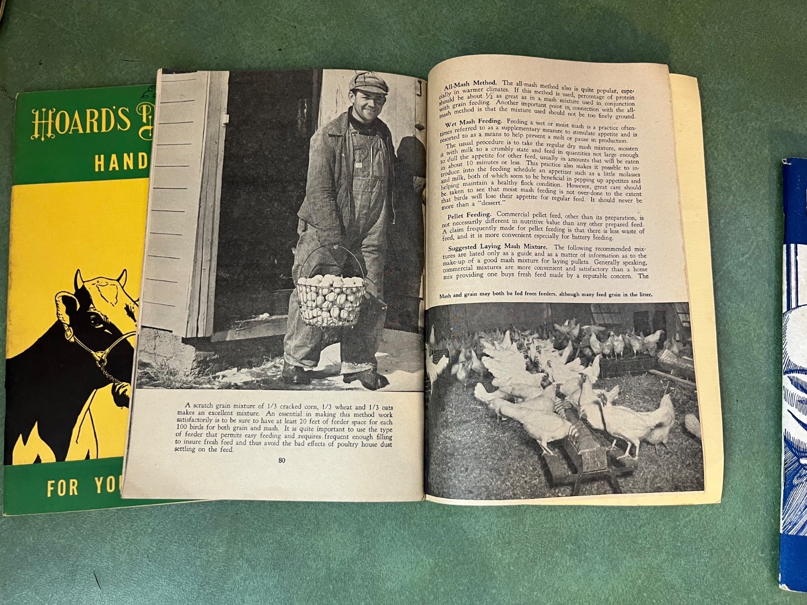 Vintage 1950’s Hoards Dairyman Handbook For Young Dairyman Feed & Health Guide
