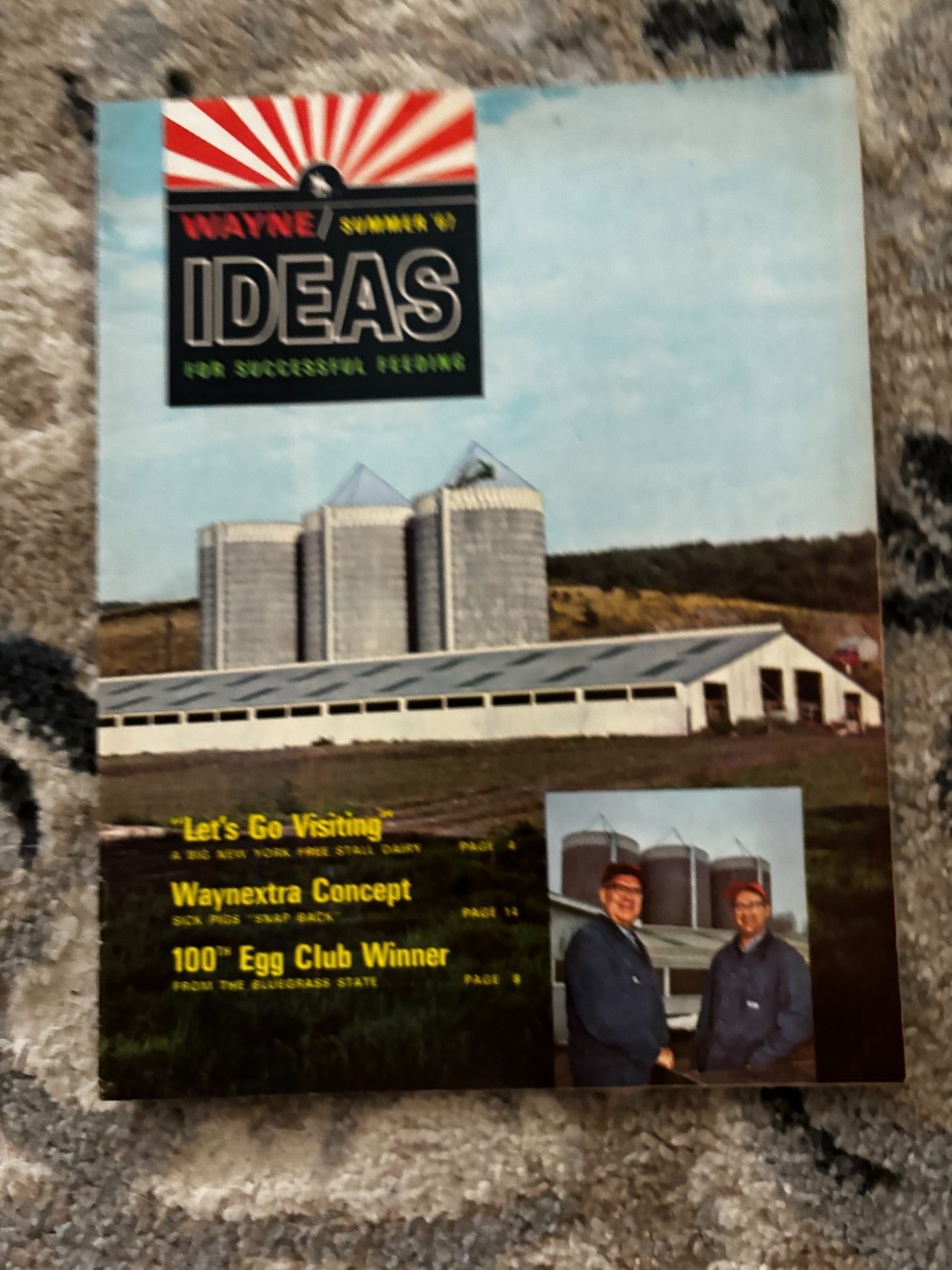 Wayne Feeds Idea Magazine for Summer 1967 Brochure DCPA26