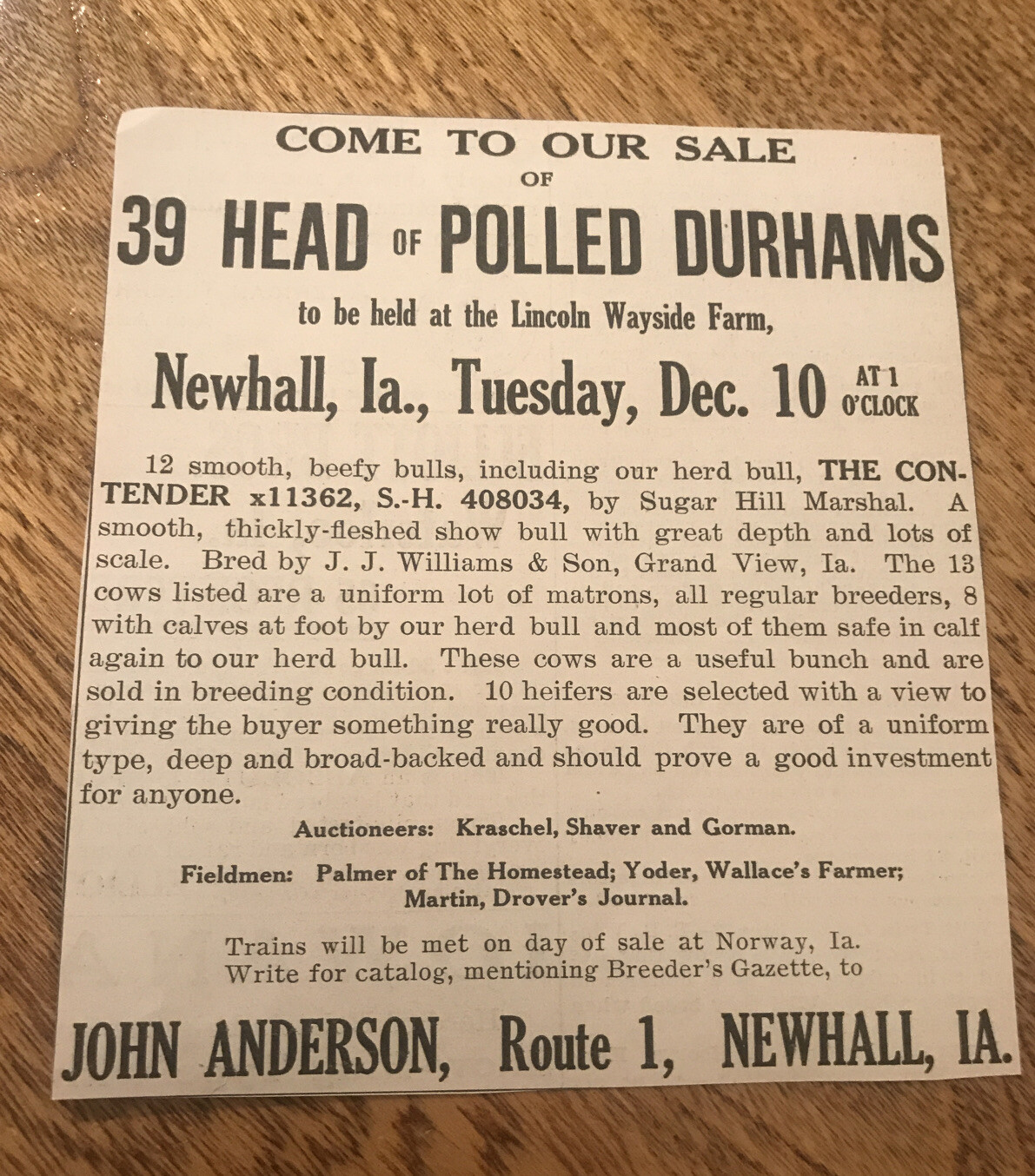 1918 Polled Durhams Cattle Public Sale – Newhall – Iowa – Cow Farm Advertising