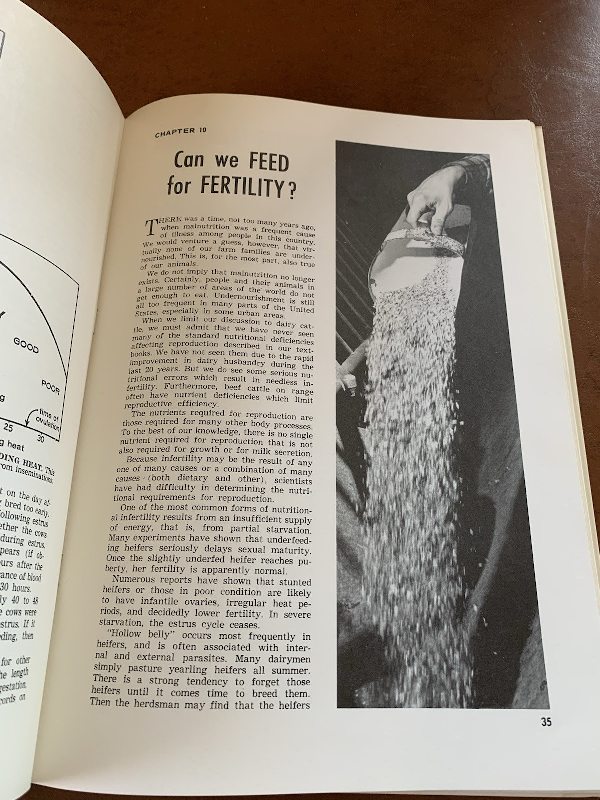 Hoard’s Dairyman 1973 Dairy Cattle Fertility & Sterility Farming Milk Ranching