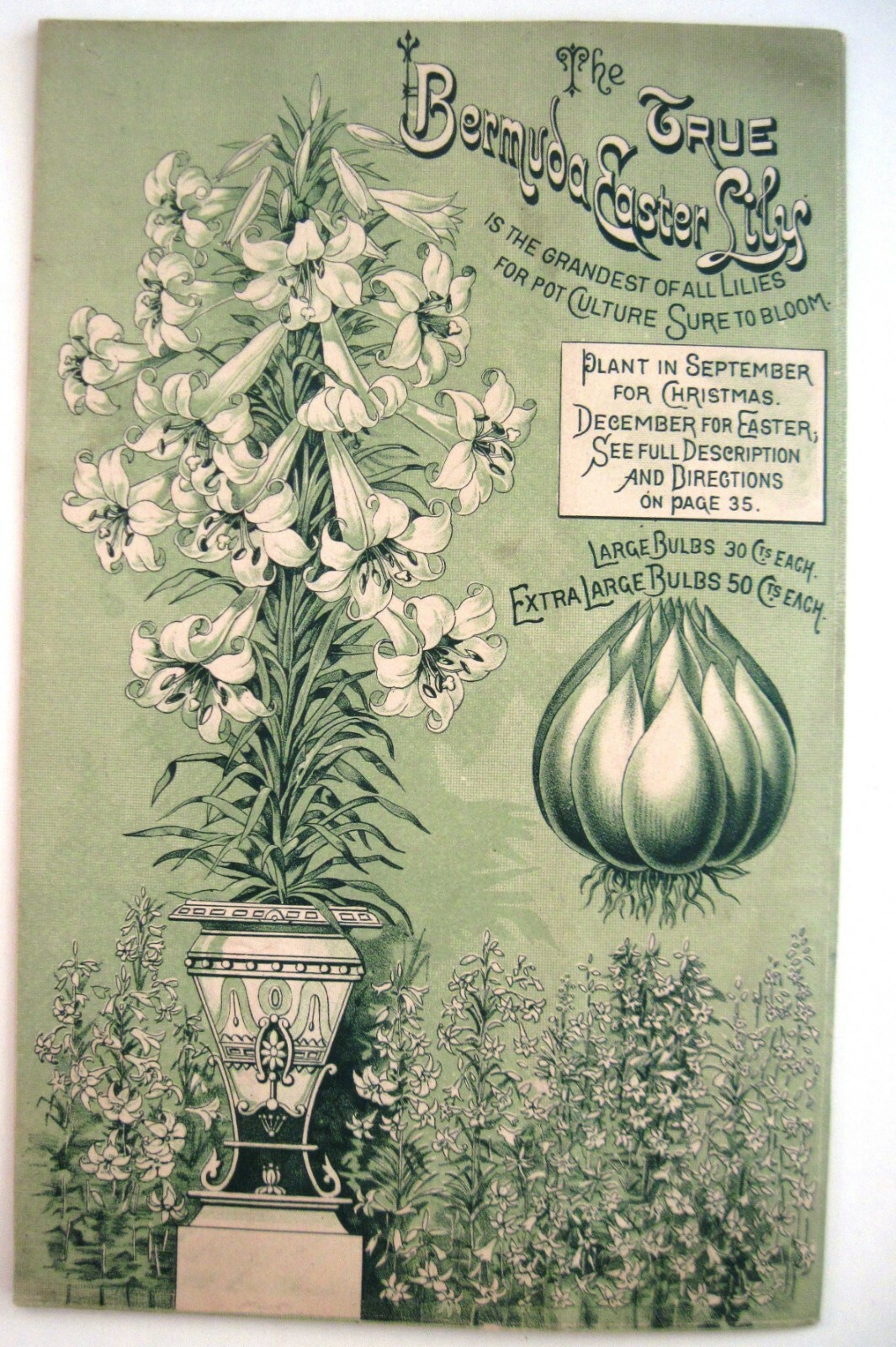 1889 Catalog “New Autumn Guide” for Holland Bulbs, Roses & Lilies & Seeds *