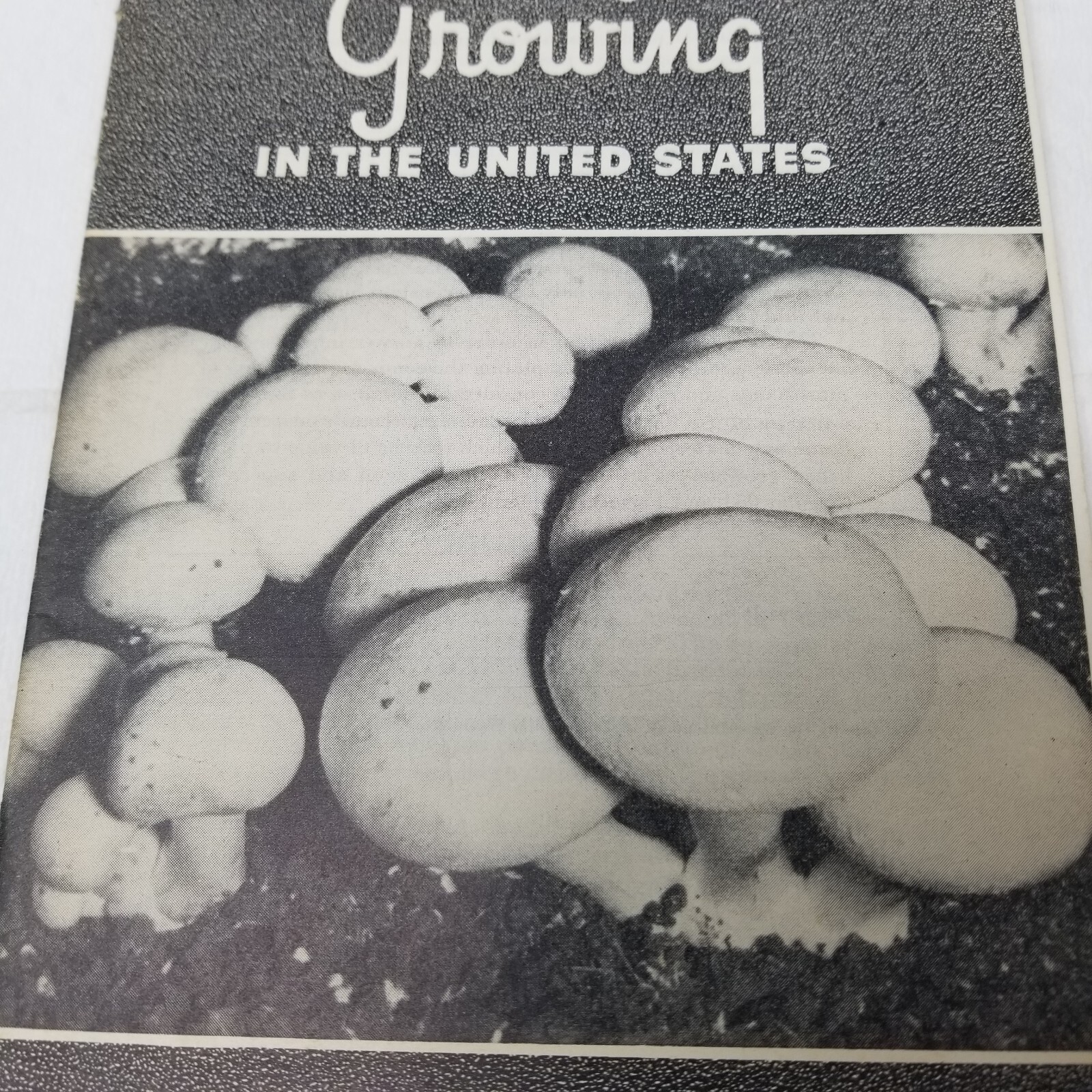 Mushroom Growing 1941 Farmers’ Bulletin Booklet 1875 USDA Photos Charts