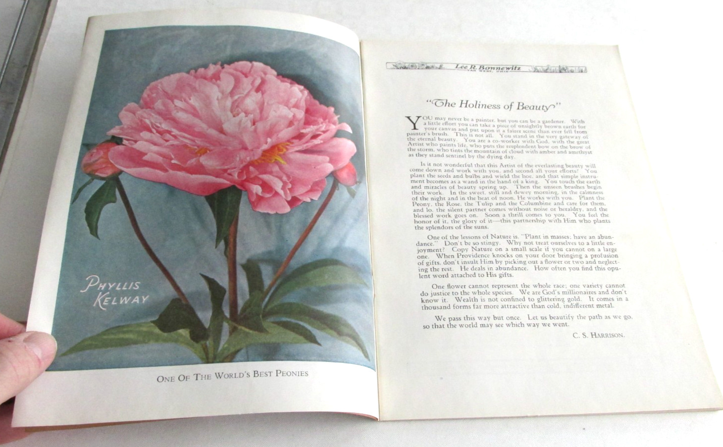 1928 VAN WERT OHIO Peonies And Irises and Poppies Catalog, Lee R Bonnewitz