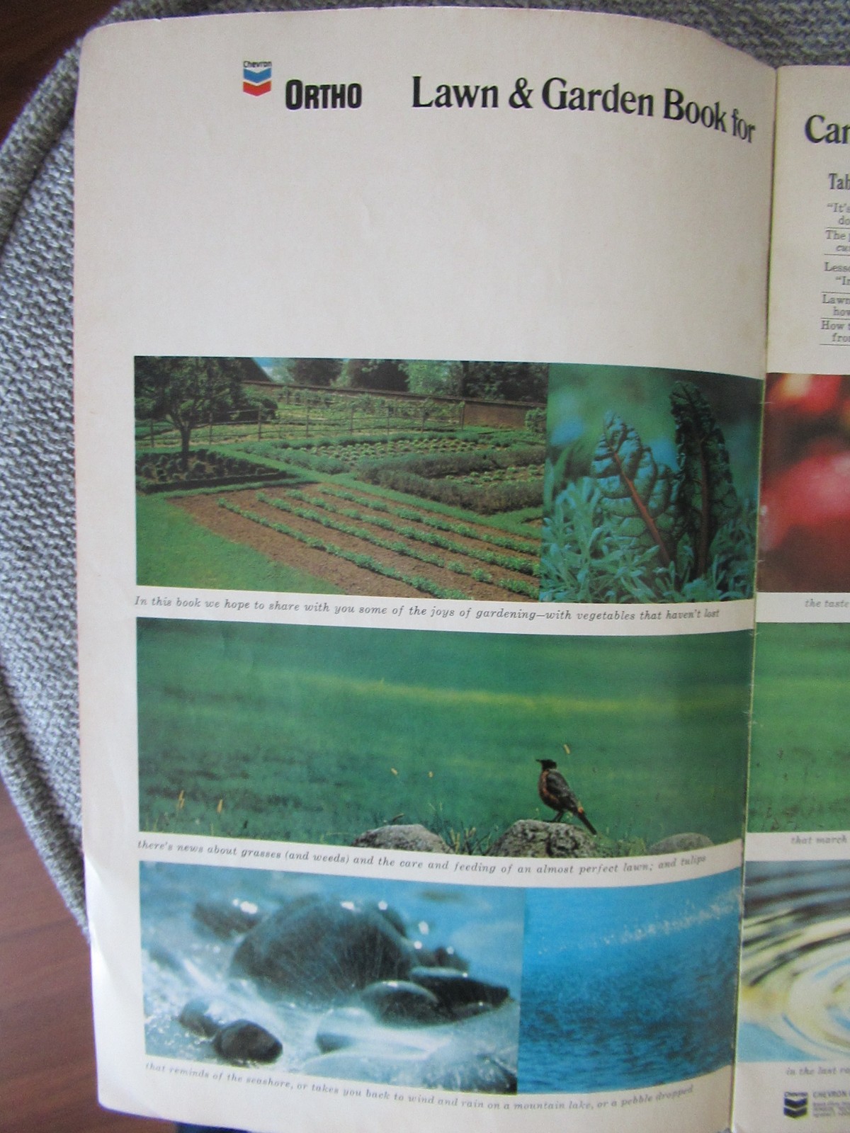 Ortho Chevron Lawn and Garden Book Brochure BA Chemical Company 34 pages 1970