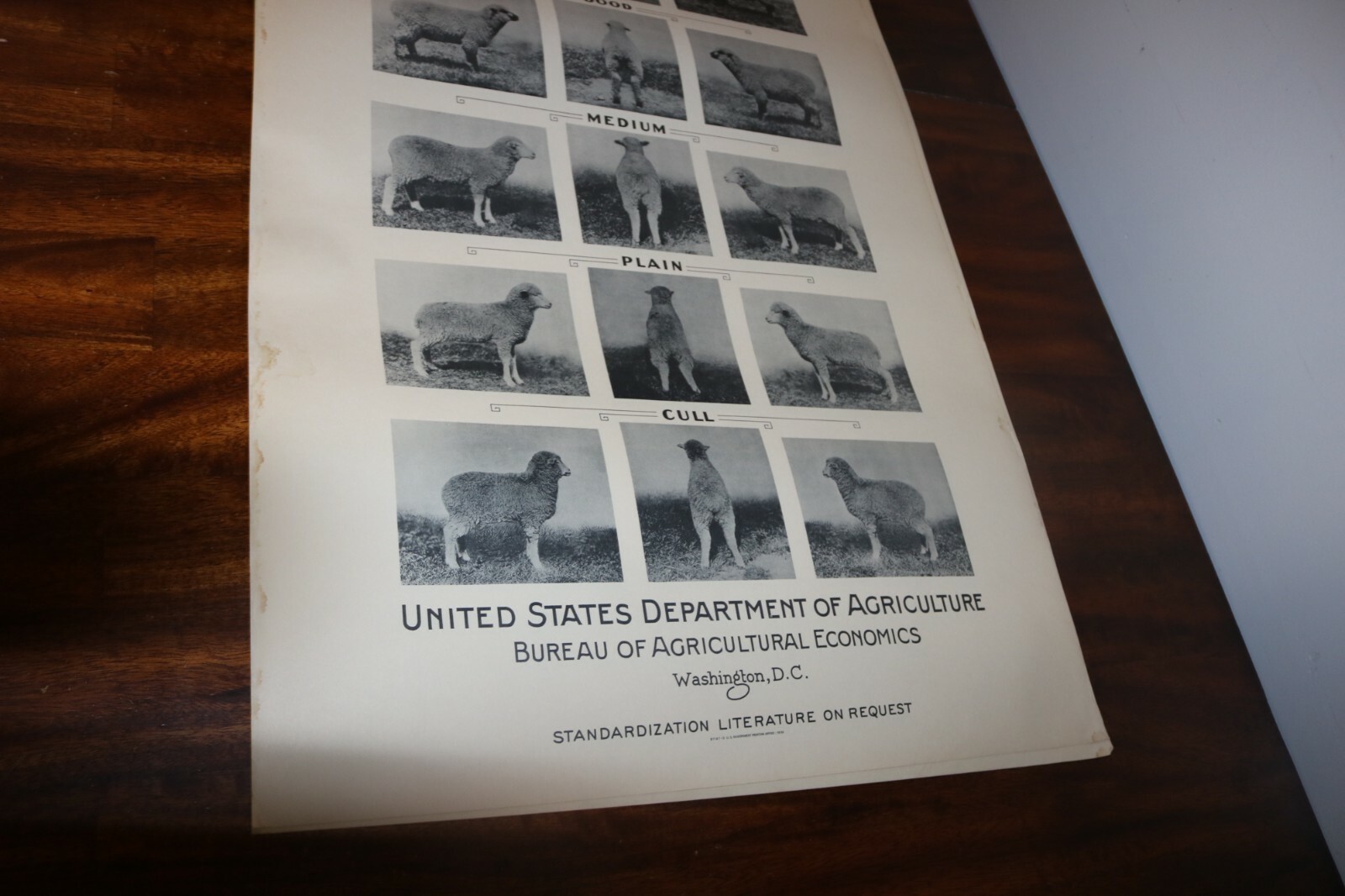 RARE new old stock orig. 1936 Large USDA Lamb slaughter grade poster chart sign
