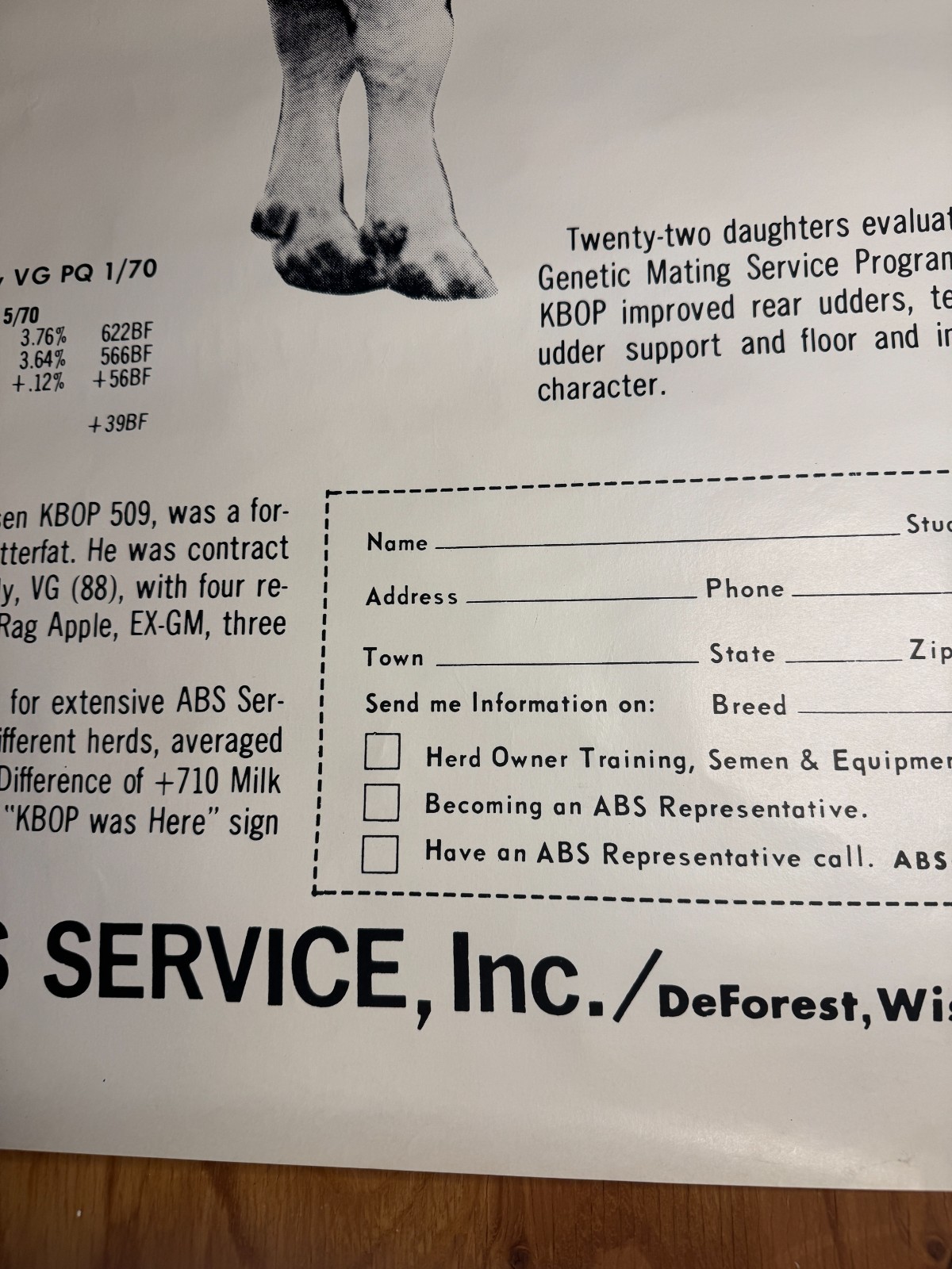 VTG 1970 King Bull on Production “KBOP” ABS American Breeders Service Ad Poster