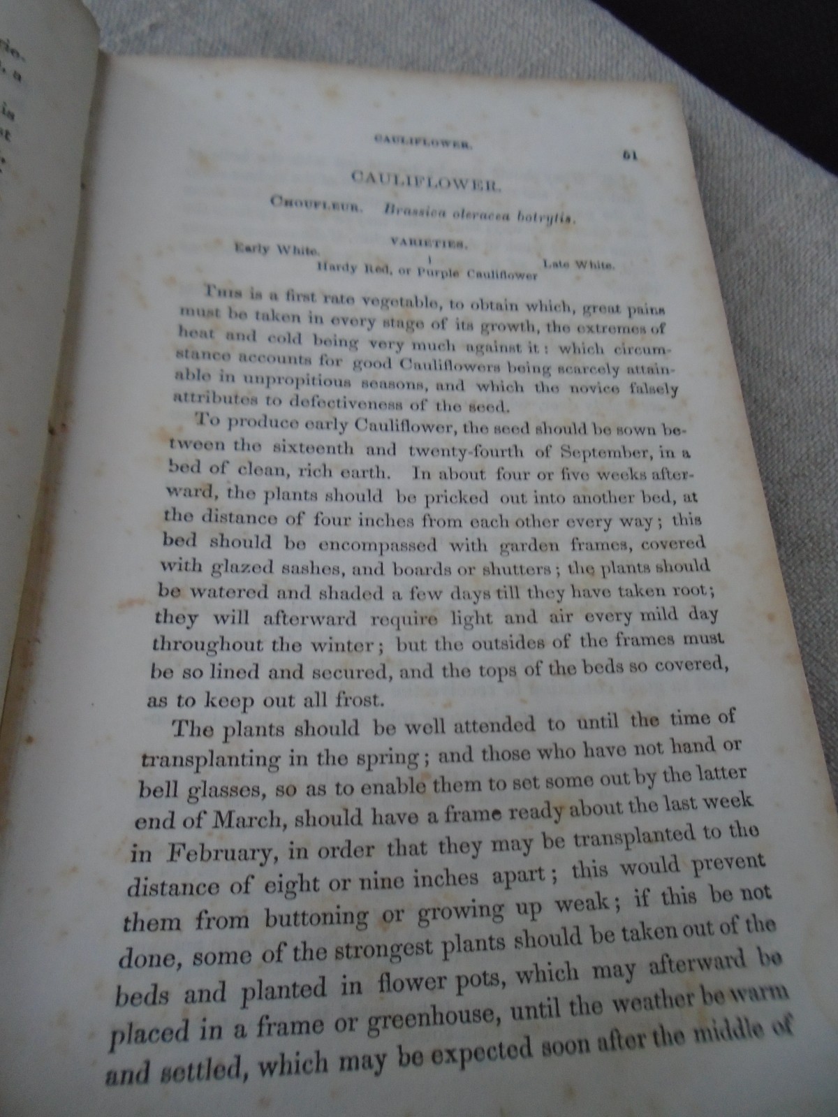 Rare 1857 Seed Catalogue Kitchen Gardner’s Instructor Thomas Bridgeman New Ed