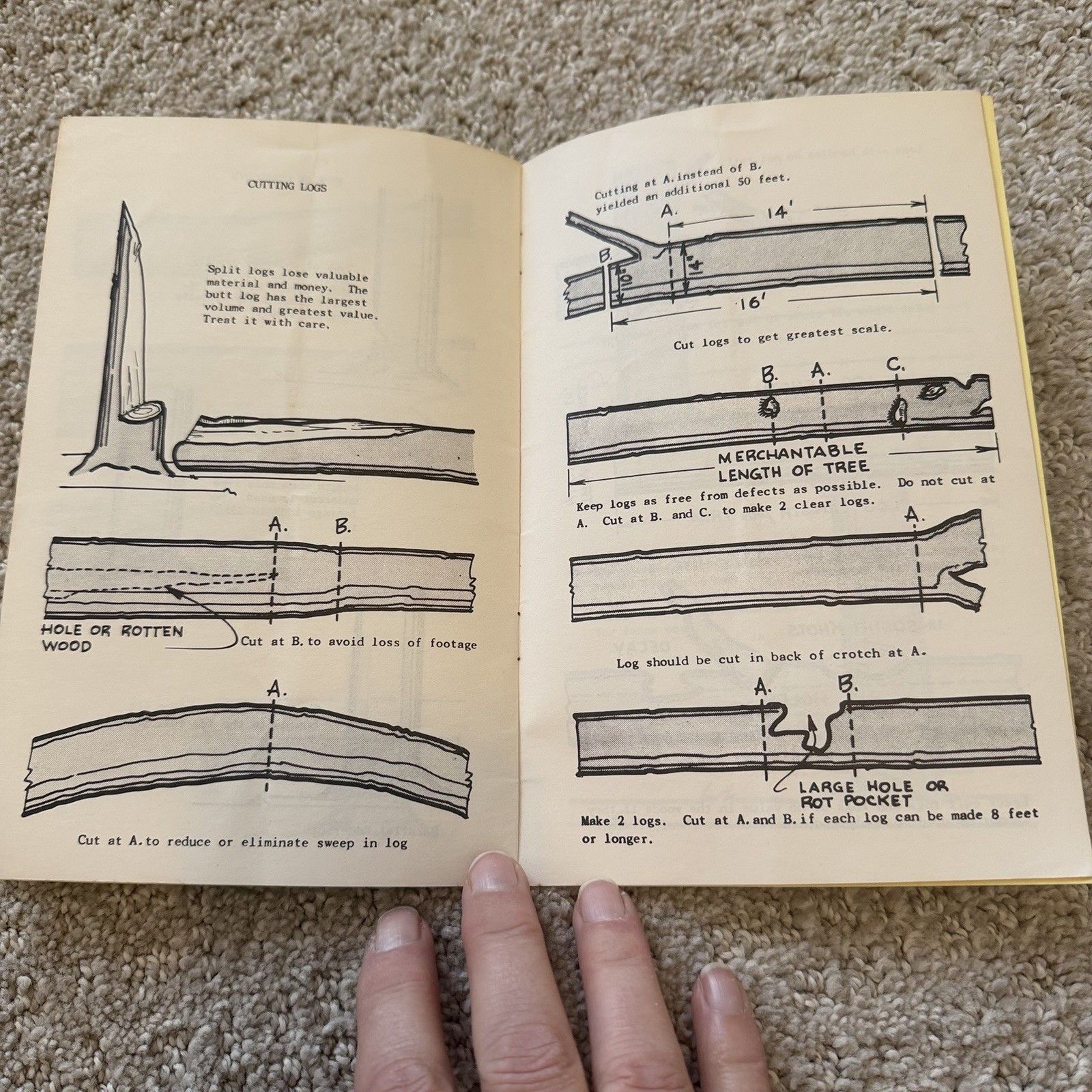 Vintage McCulloch Chainsaw Brochure More Money For Your Logs When Properly Cut