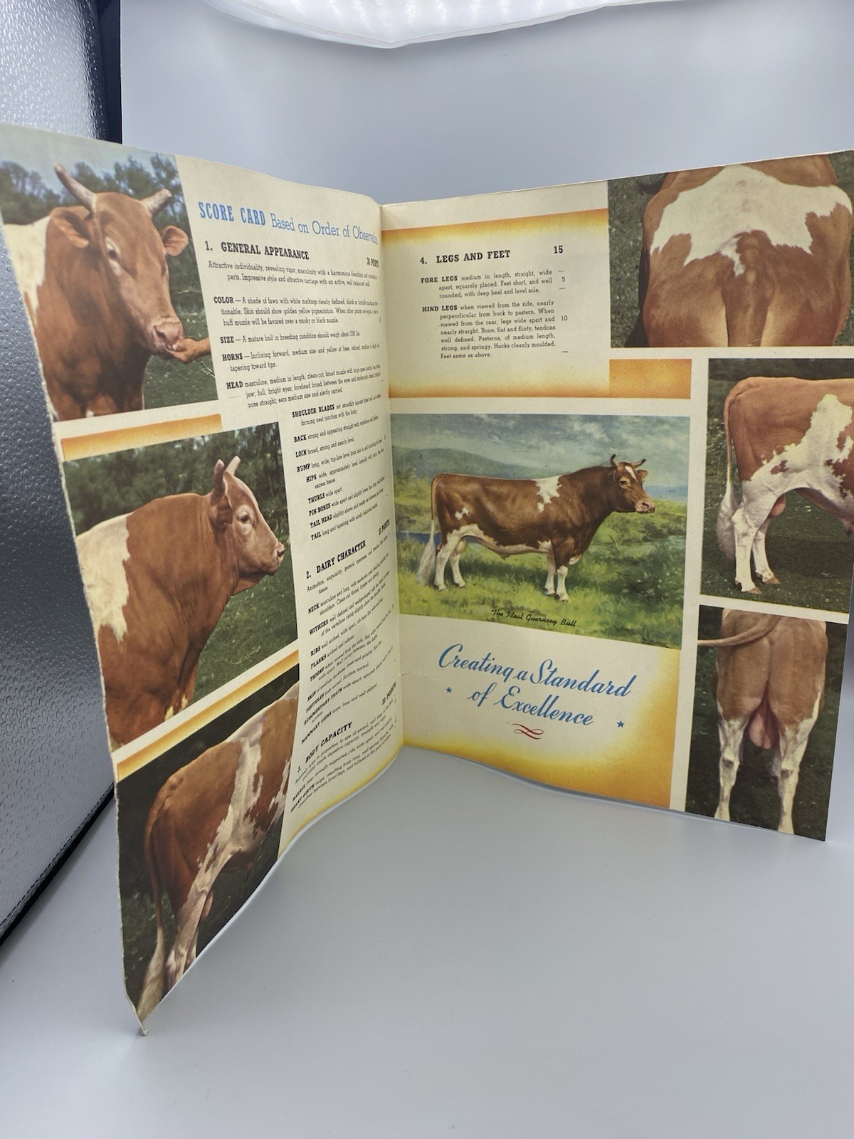 American Guernsey Cattle Club Booklet “Creating a Standard of Excellence”