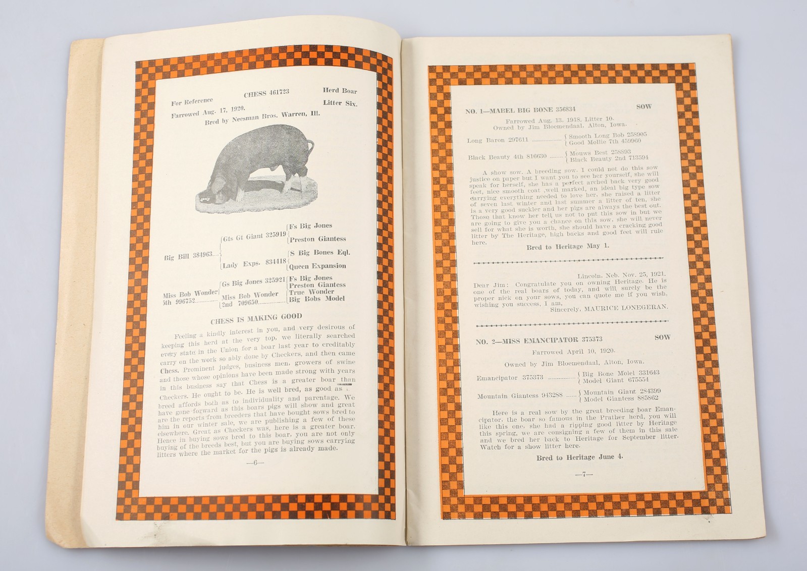 Vintage 1922 Heritage and Chess Poland China’s Sow Hog Sale Program Alton Iowa