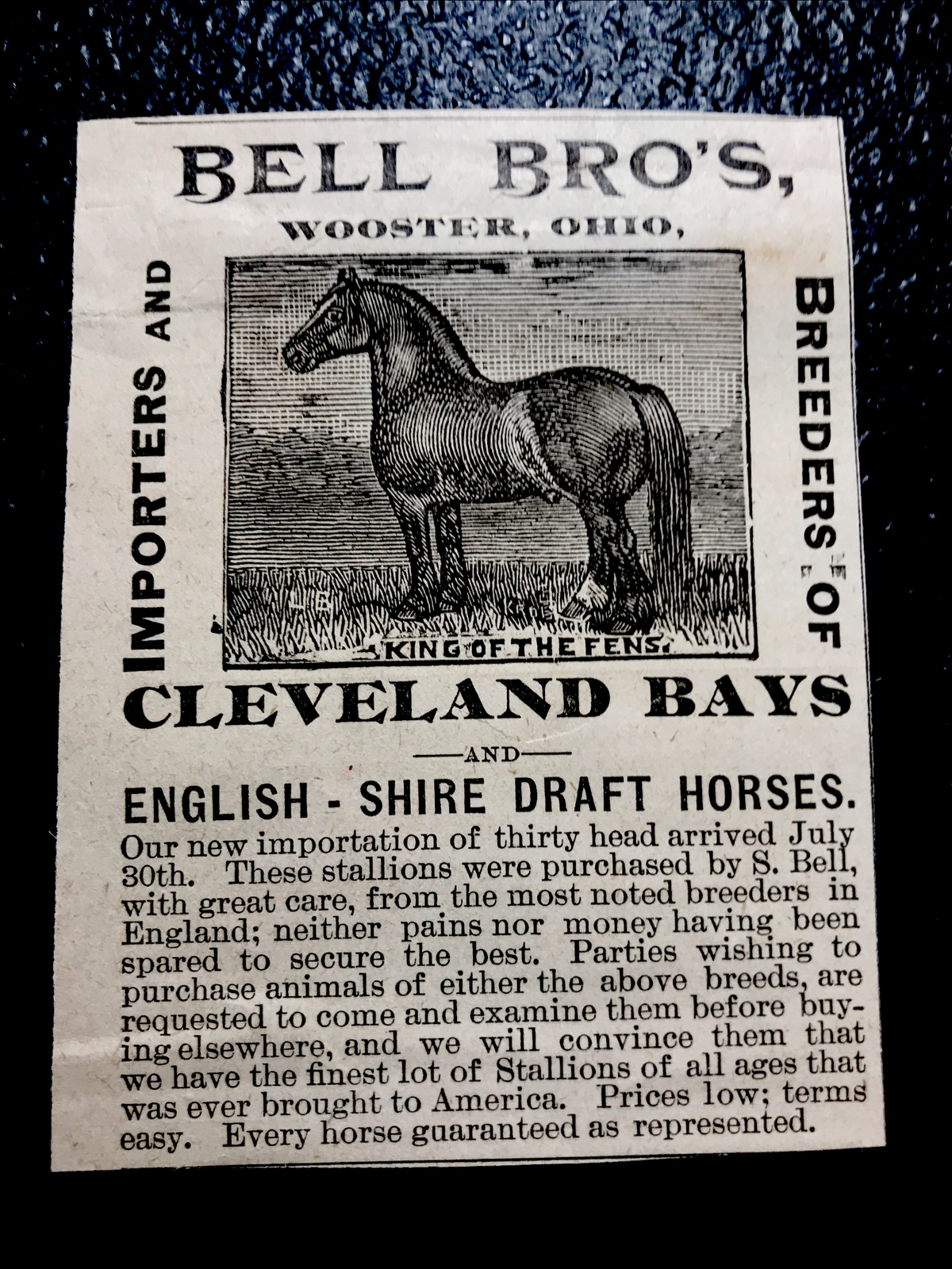 1886 Bell Bros. Horse Farm Advertising – Wooster – Ohio