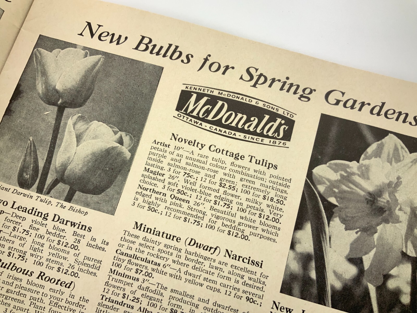 McDonald’s Seeds Plants Bulbs Catalogue Fall 1961 Catalog Ottawa Canada EE630