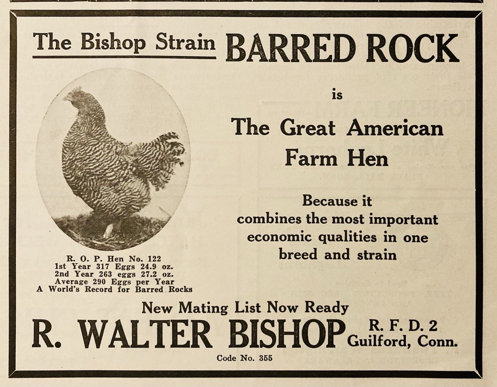 1934 AD.(XH82)~R. WALTER BISHOP FARM, GUILFORD, CONN. BARRED ROCK FARM HENS