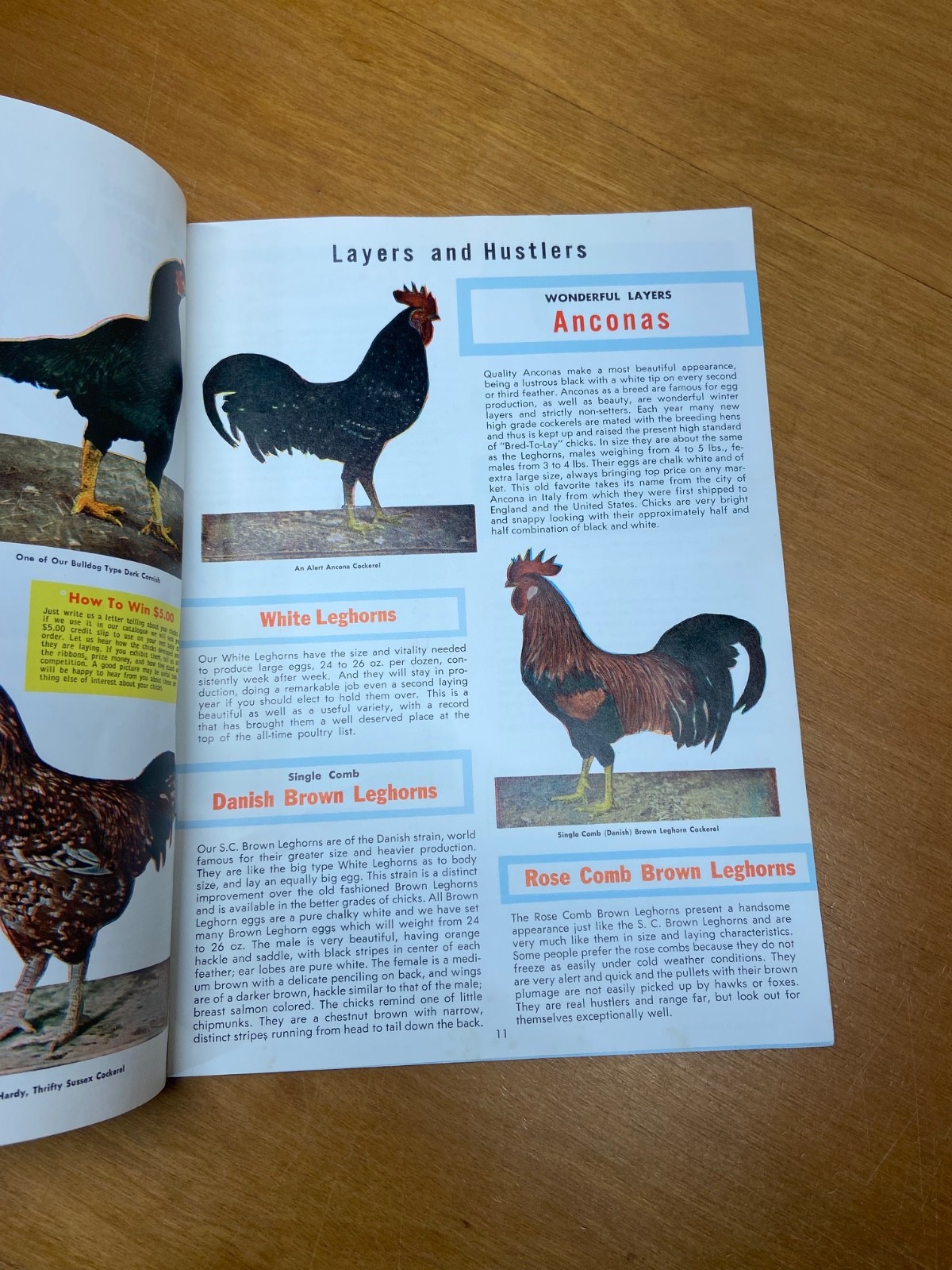 Murray McMurray Hatchery Catalog 1970’s