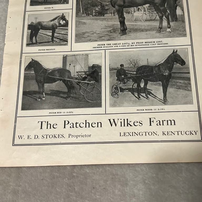 1909 The Patchen Wilkes Farm Lexington Kentucky Horses Vintage Ad V