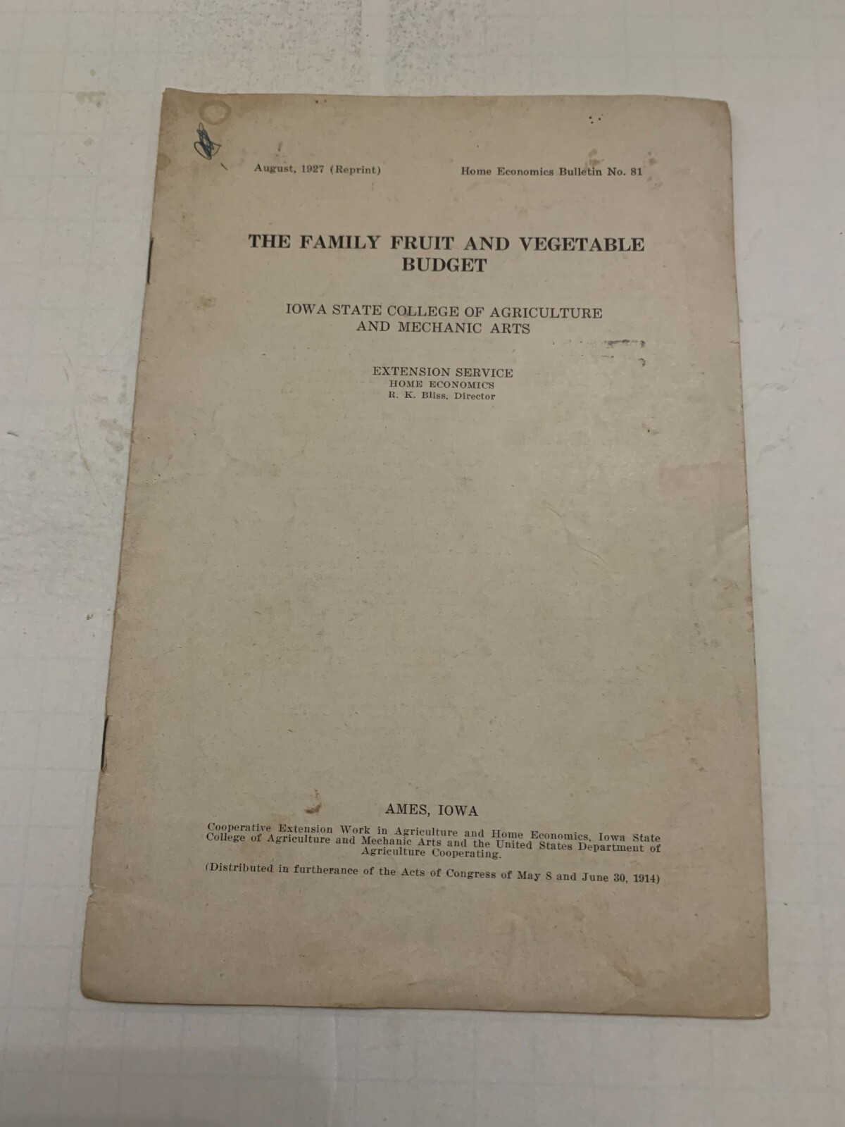 1927 The Family Fruit and Vegetable Budget Booklet by Iowa State College