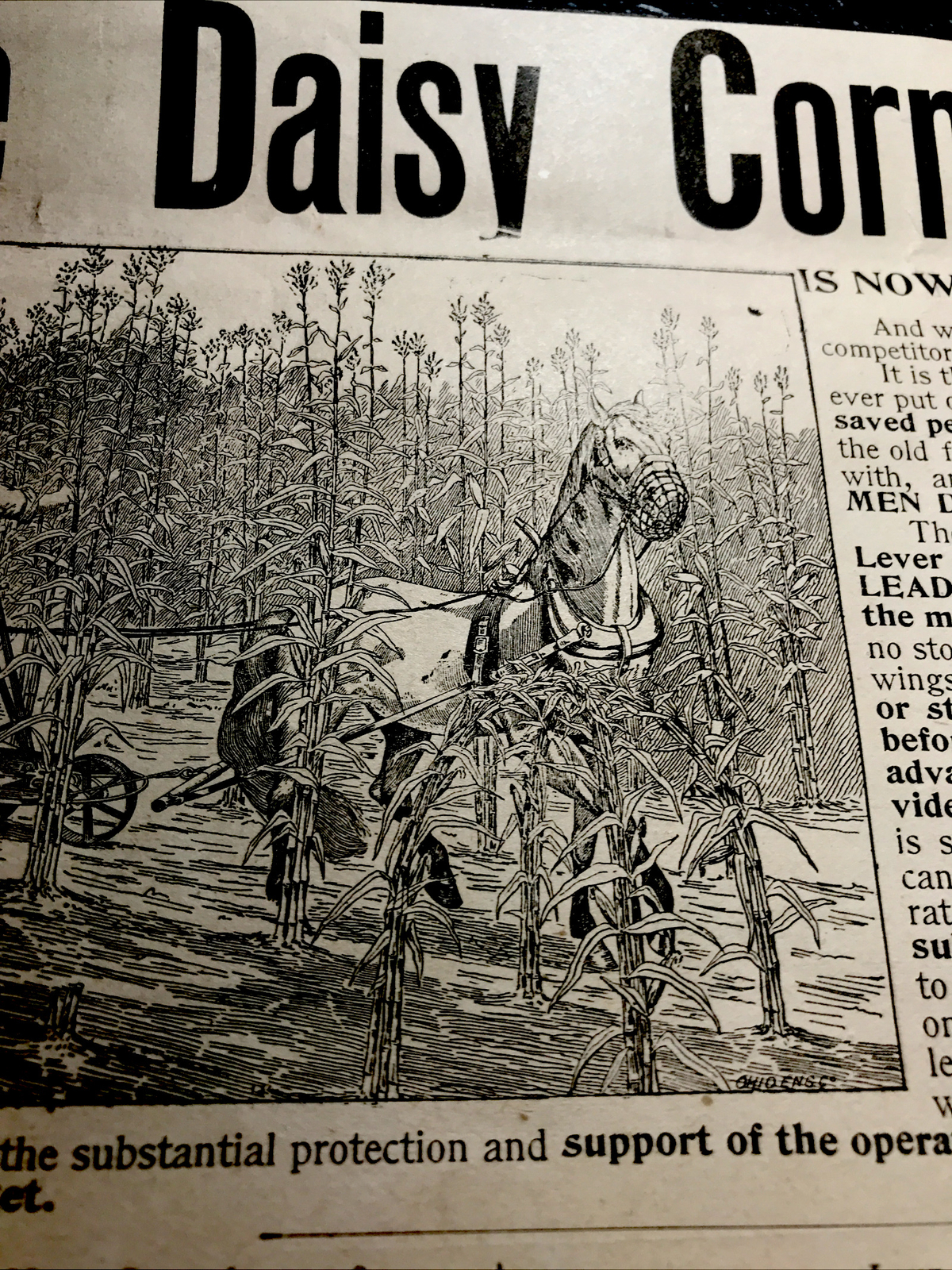 1893 Butt Daisy Corn Harvester Farm Engraving Advertising – Springfield – Ohio